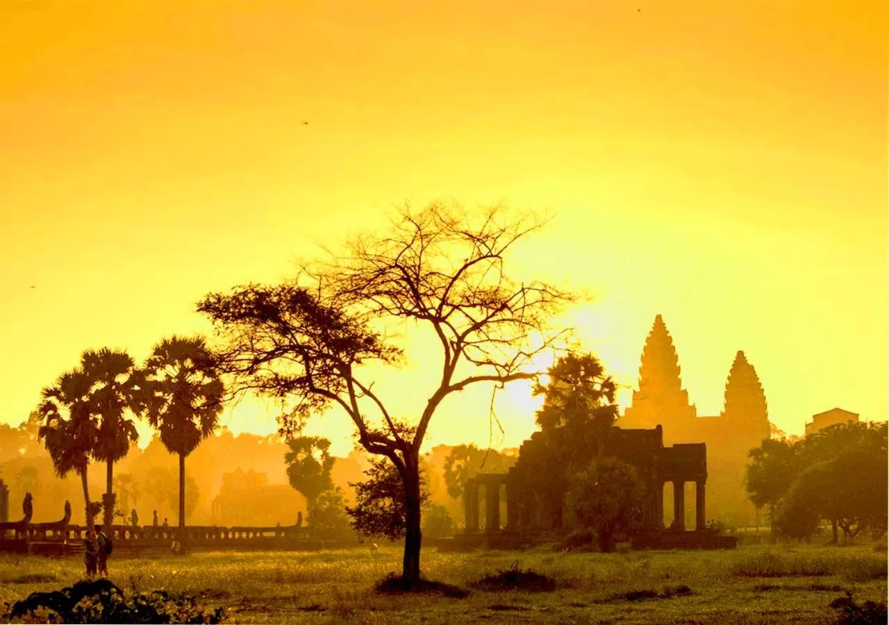 Activities in Ladear Privilege Rooms