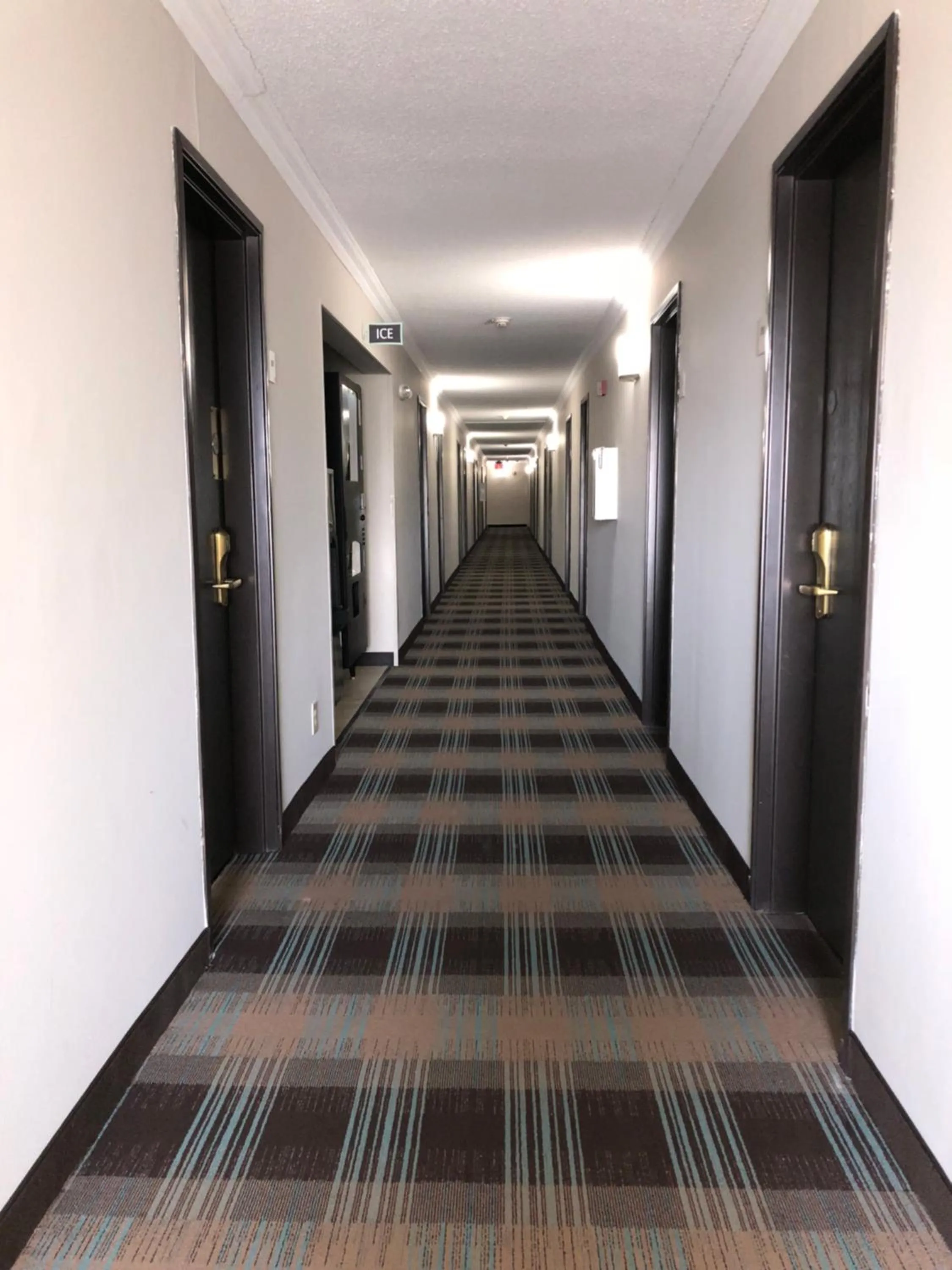 Area and facilities in Countryside Inn & Suites Omaha East-Council Bluffs IA