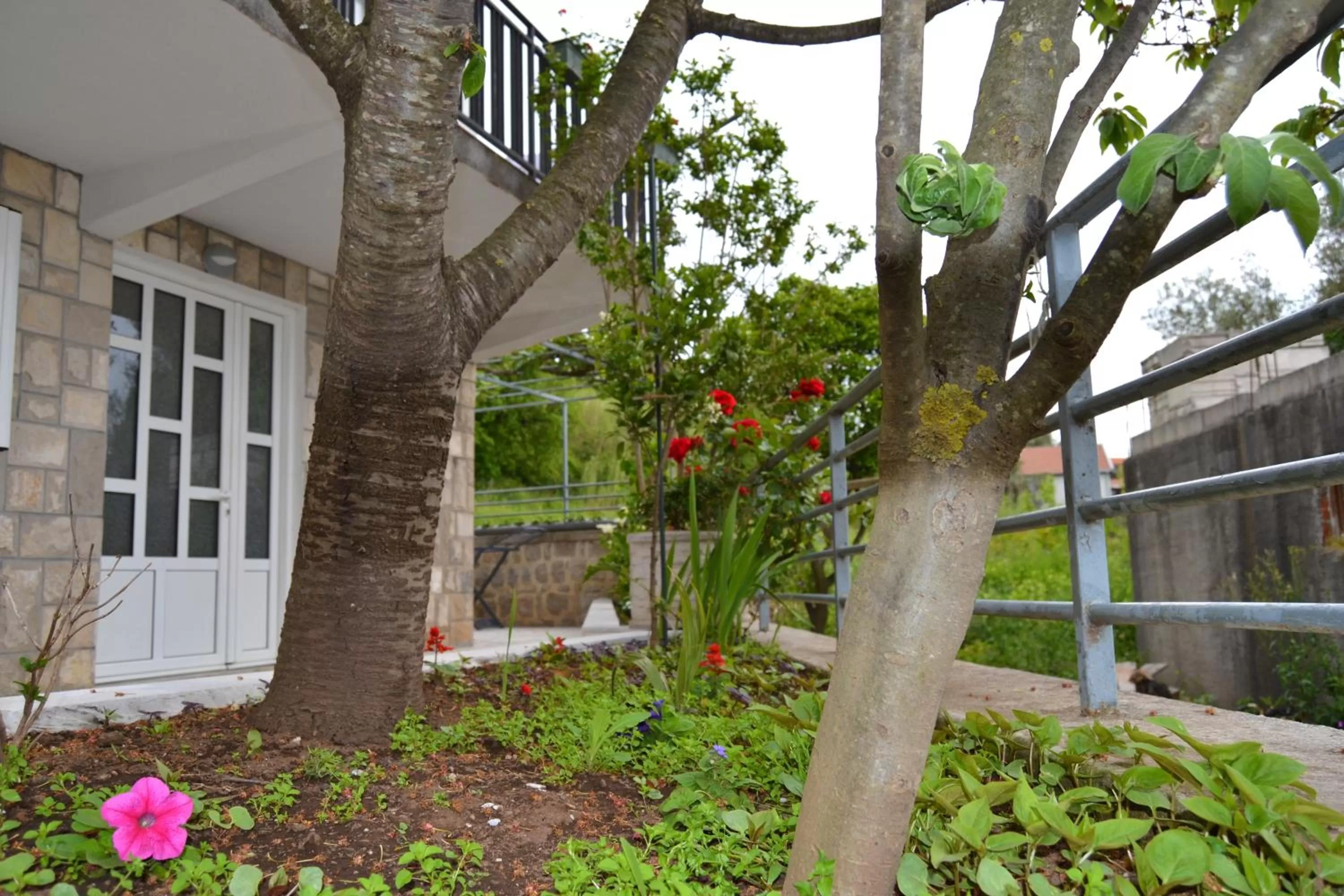 Patio, Garden in Tivat Apartments