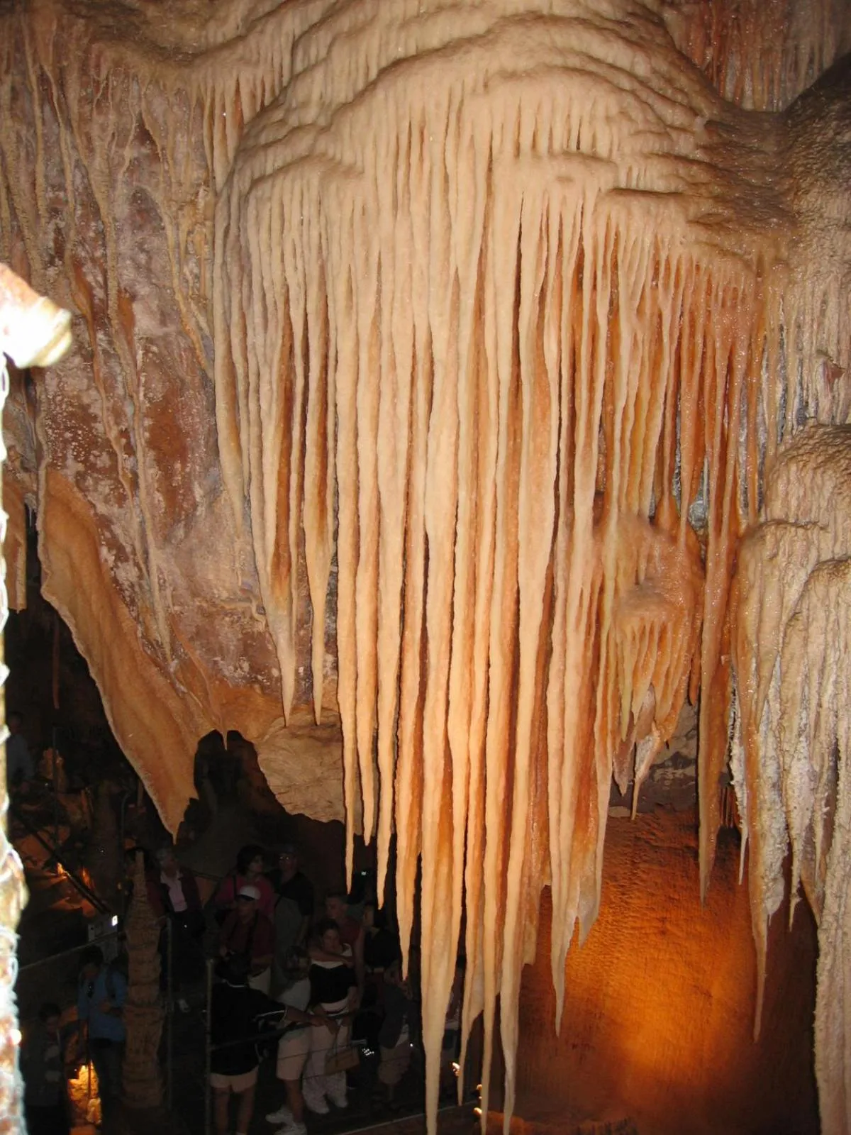 Other in Atlas Motel