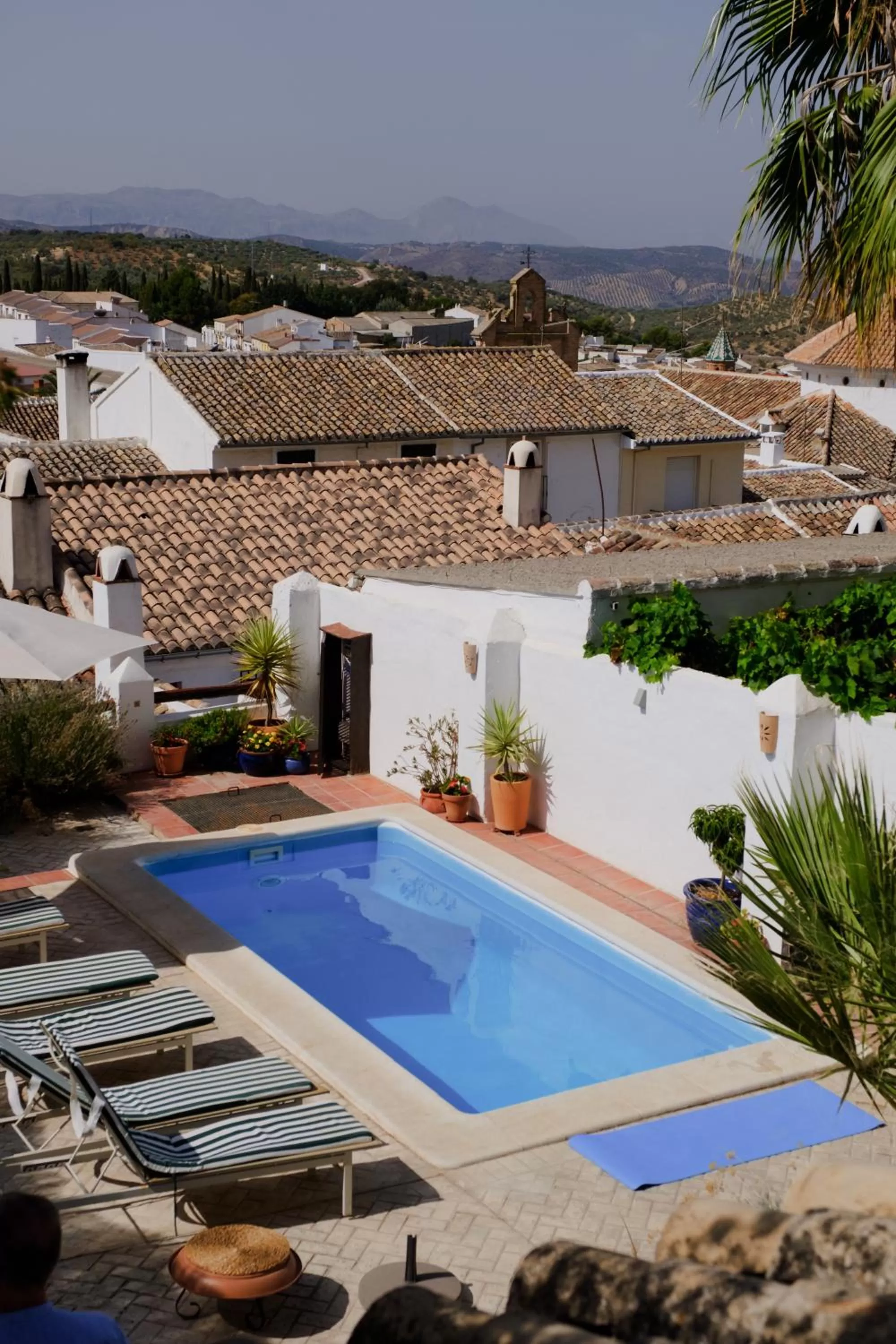 Swimming pool in Almohalla51