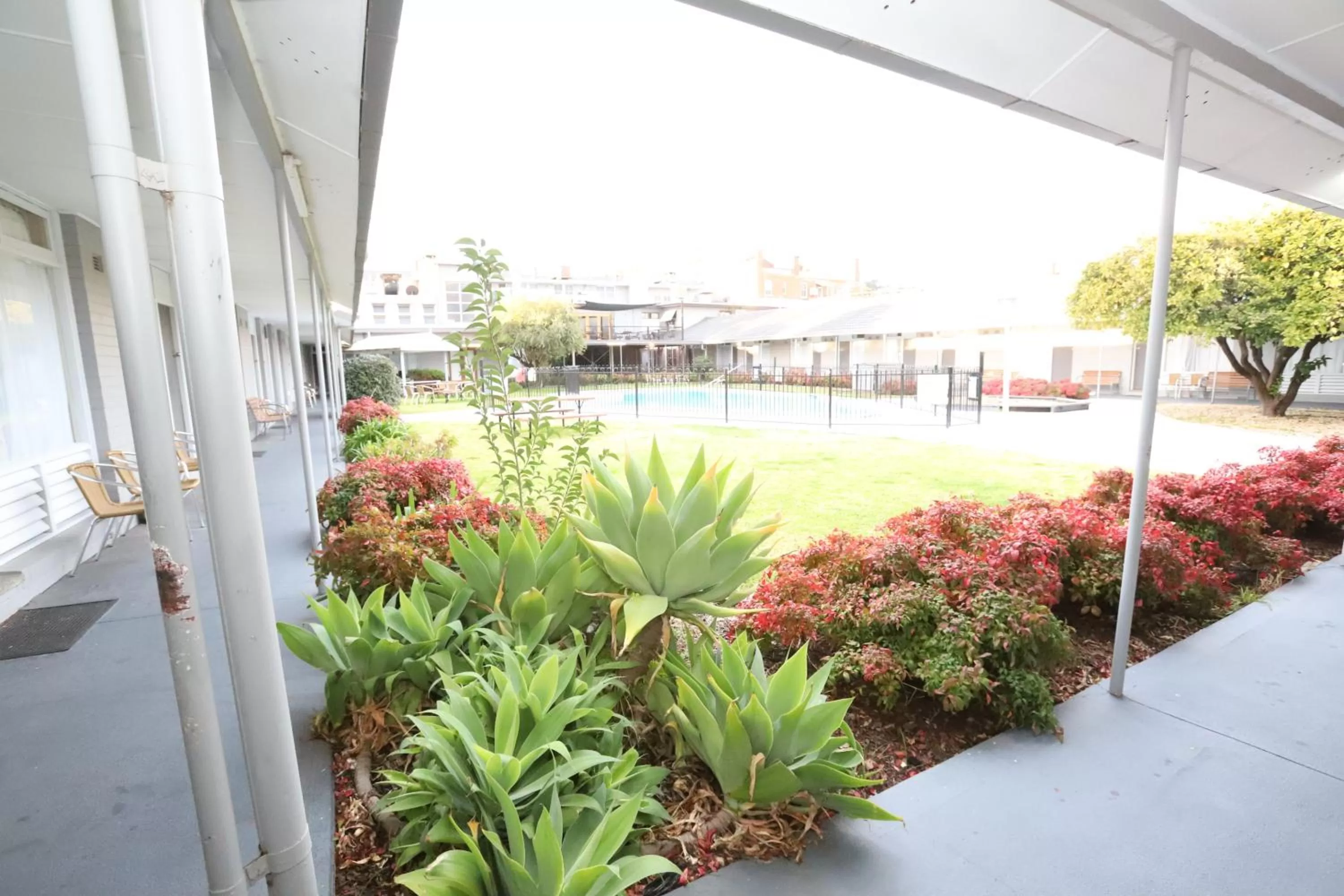 Garden in Townhouse Motel Cowra