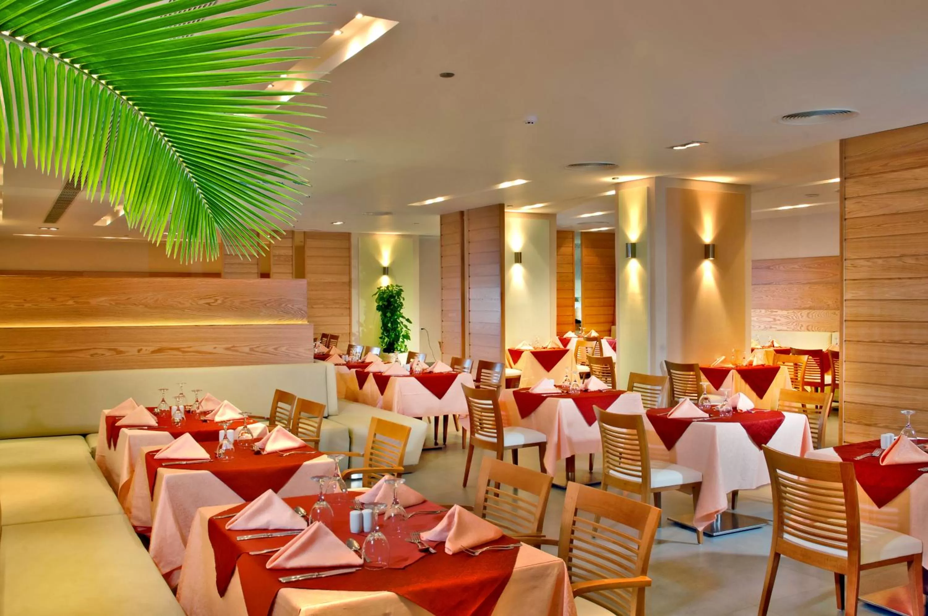 Restaurant/places to eat in Coral Sea Aqua Club Resort