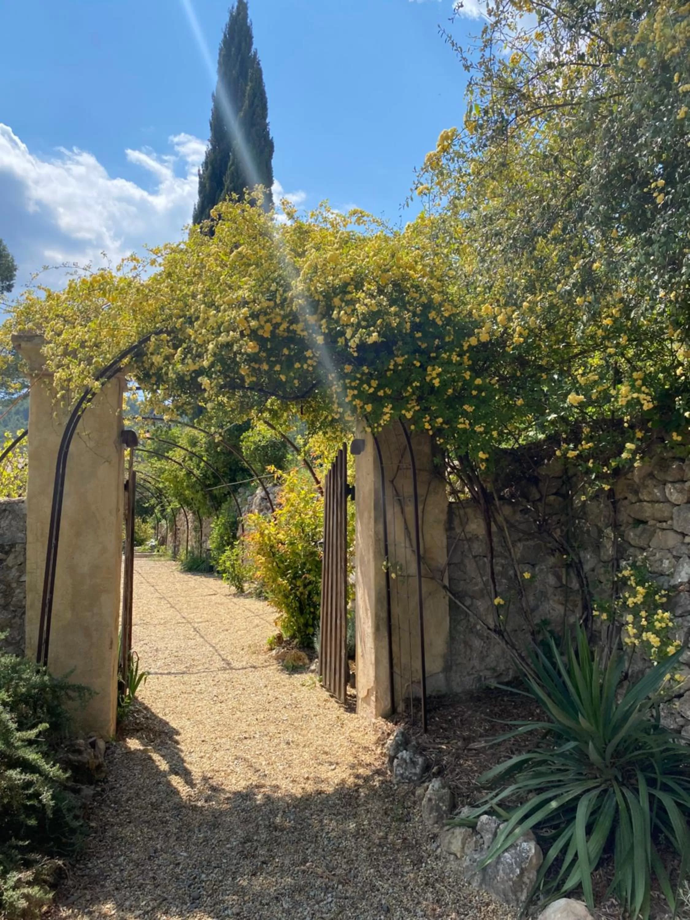 Facade/entrance in LOU CALEN