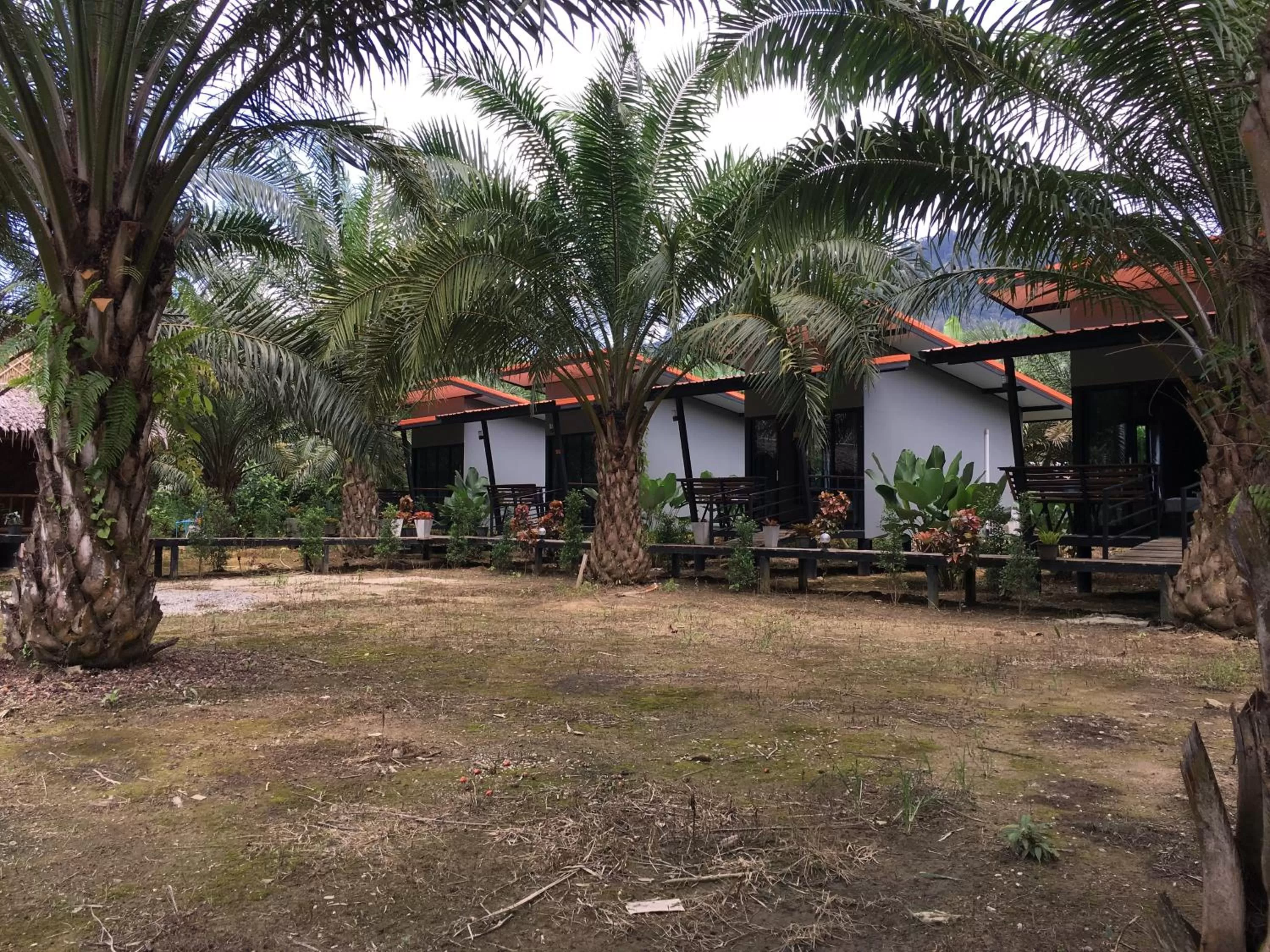Natural landscape in Khao Sok Residence Resort