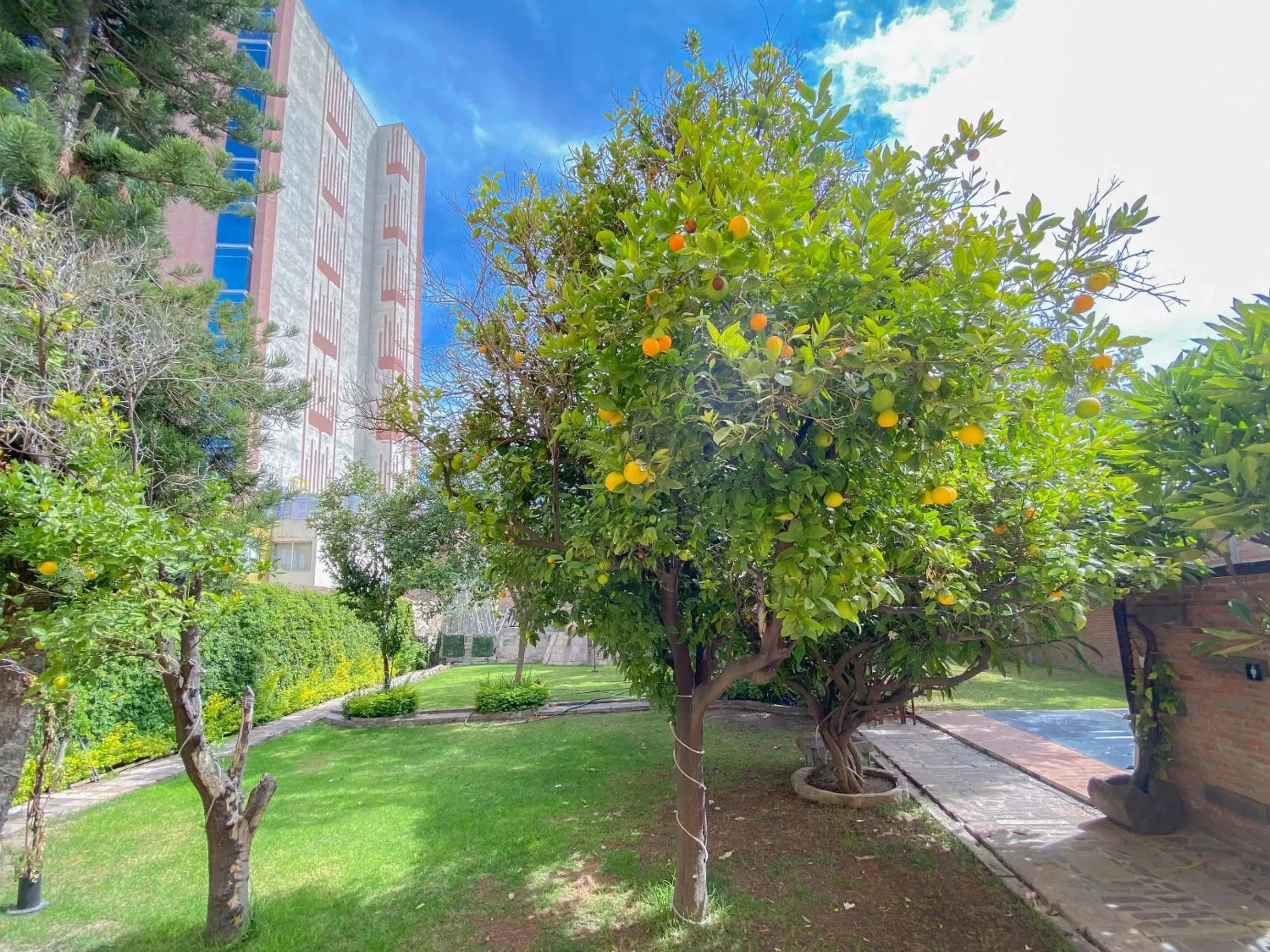 Garden in Azabu Hotel Collection