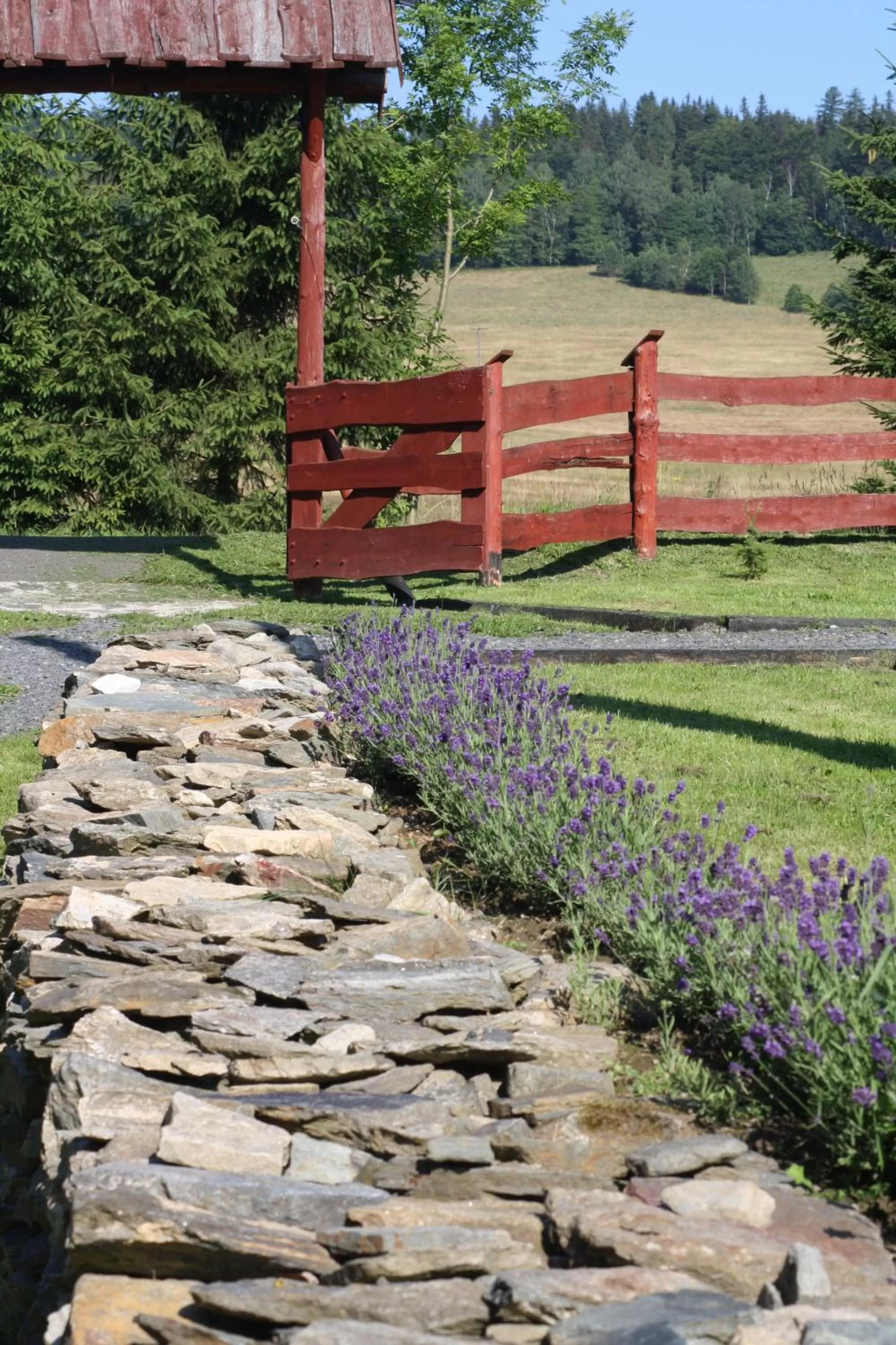 Street view in Dom na Klonowym Wzgórzu