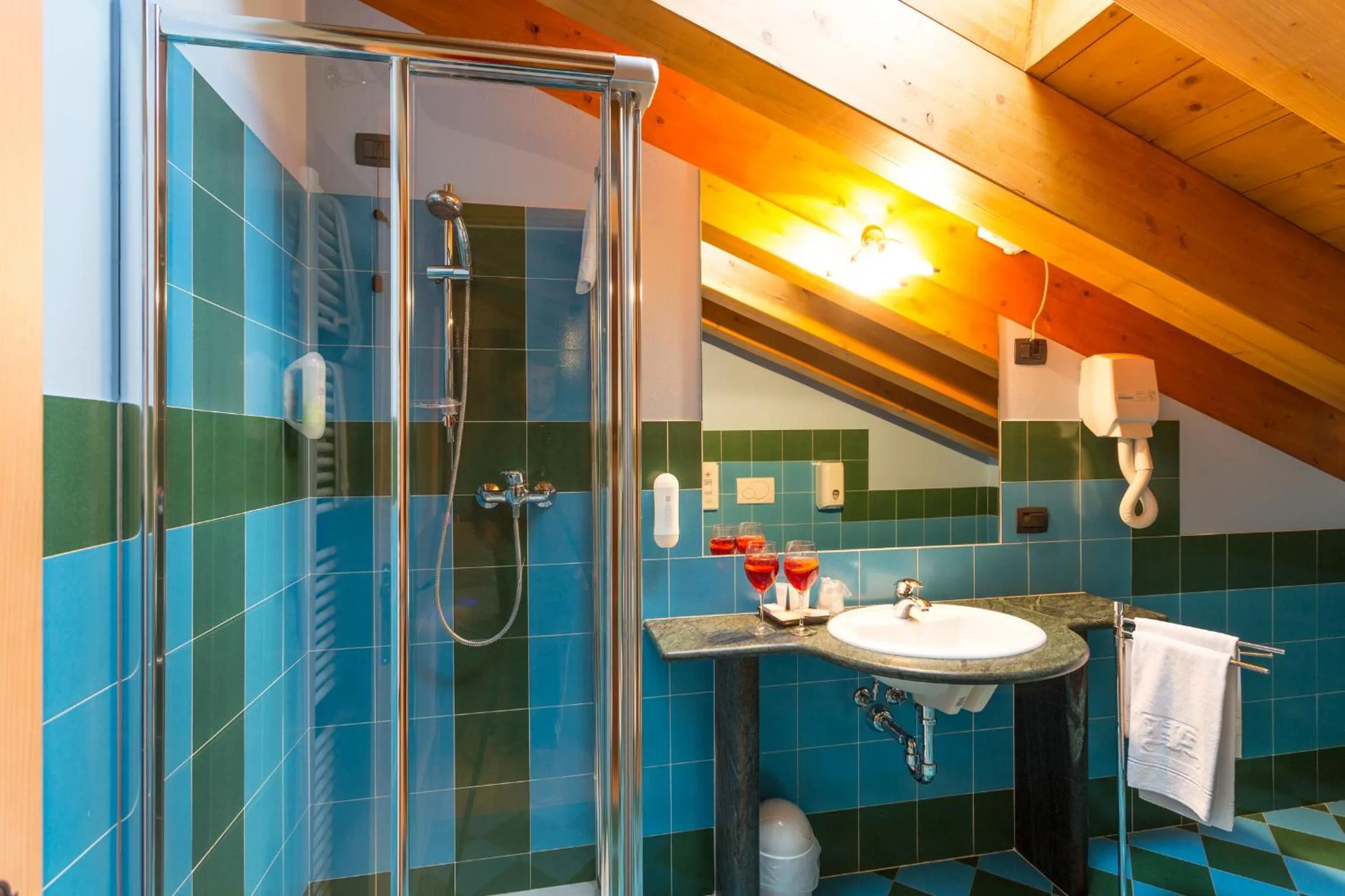 Shower in Hotel Arisch