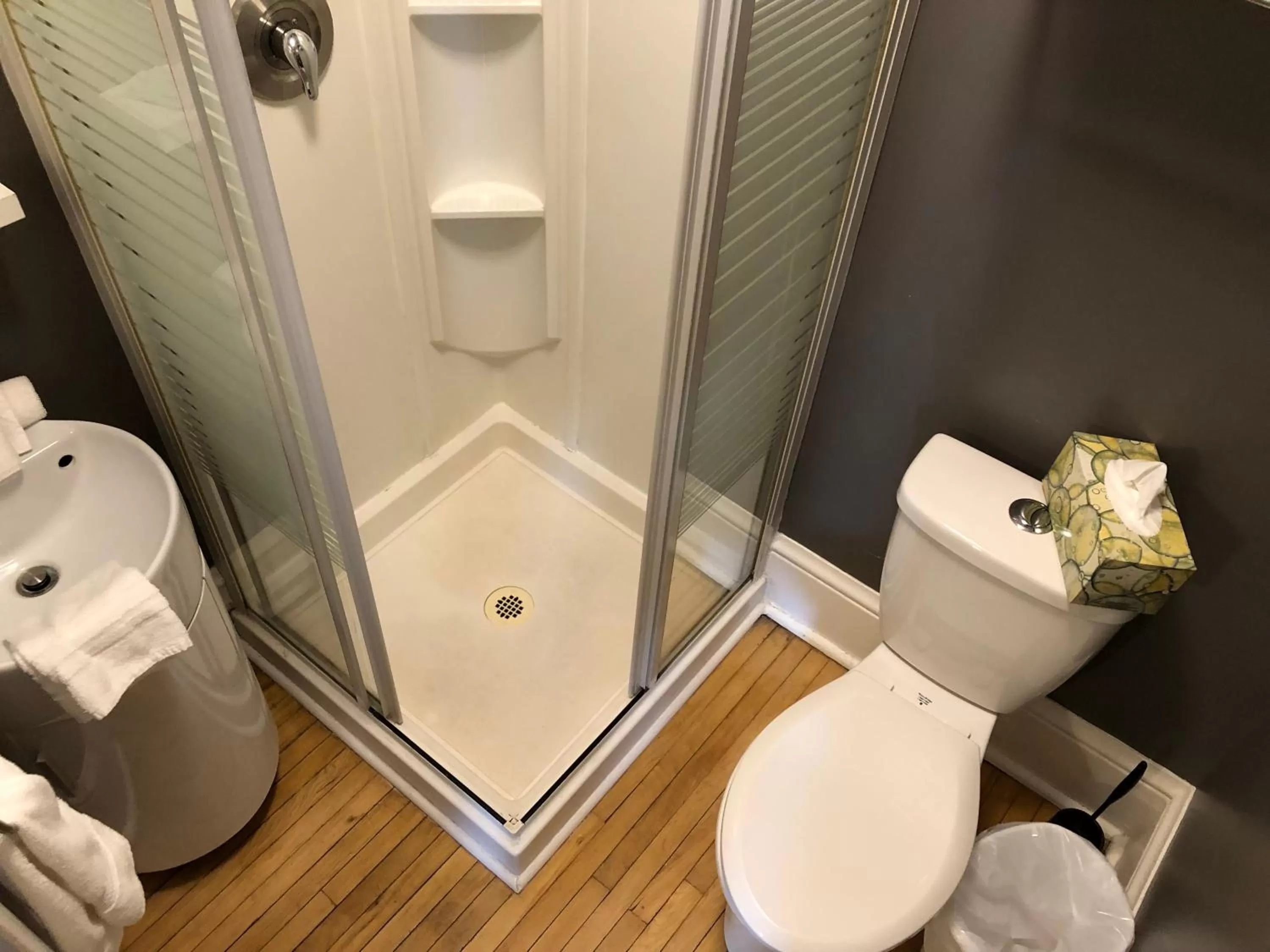 Shower in Leaside Manor