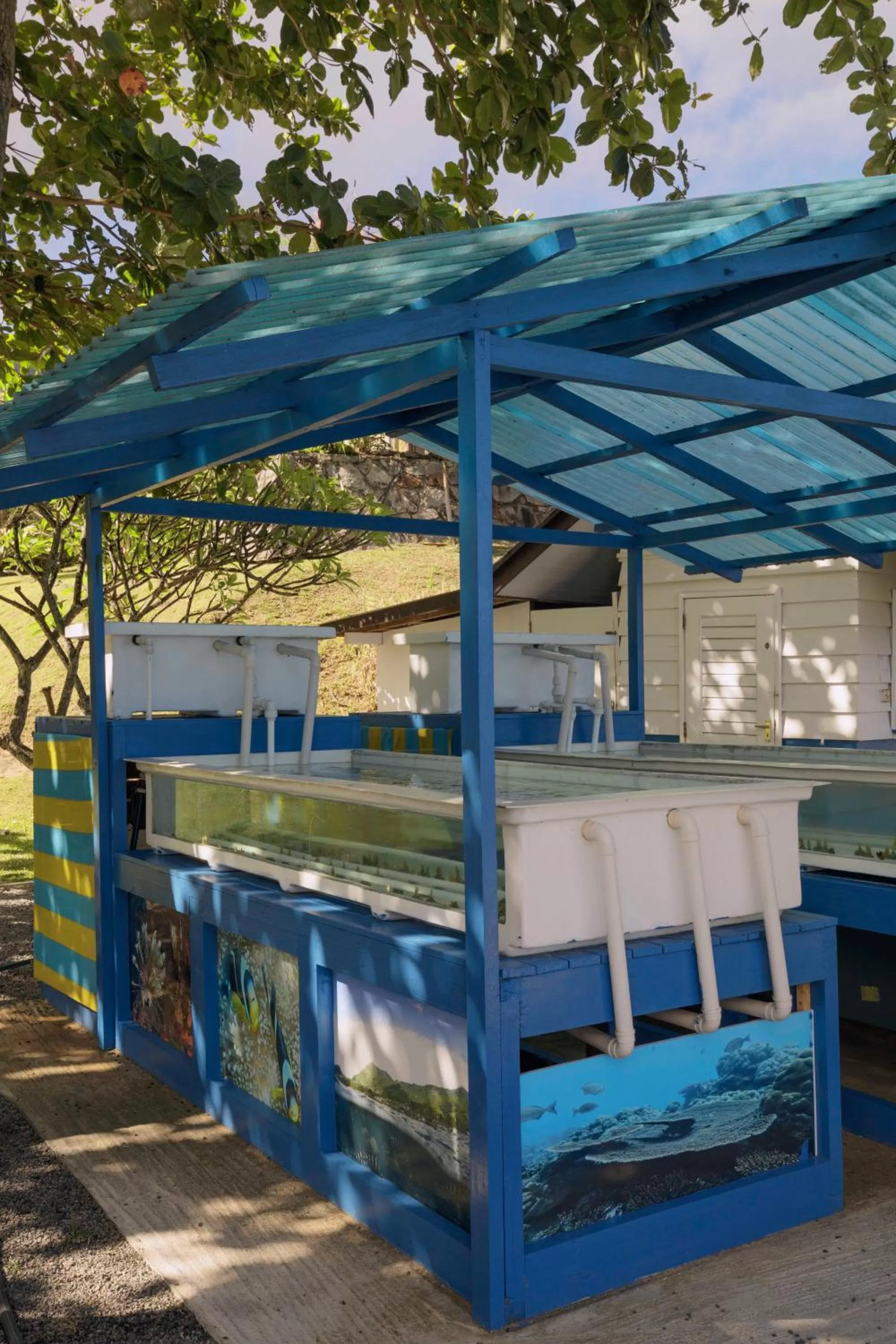 Activities in Fisherman's Cove Resort - closed for complete renovation - Visit our sister property STORY Seychelles for your stay