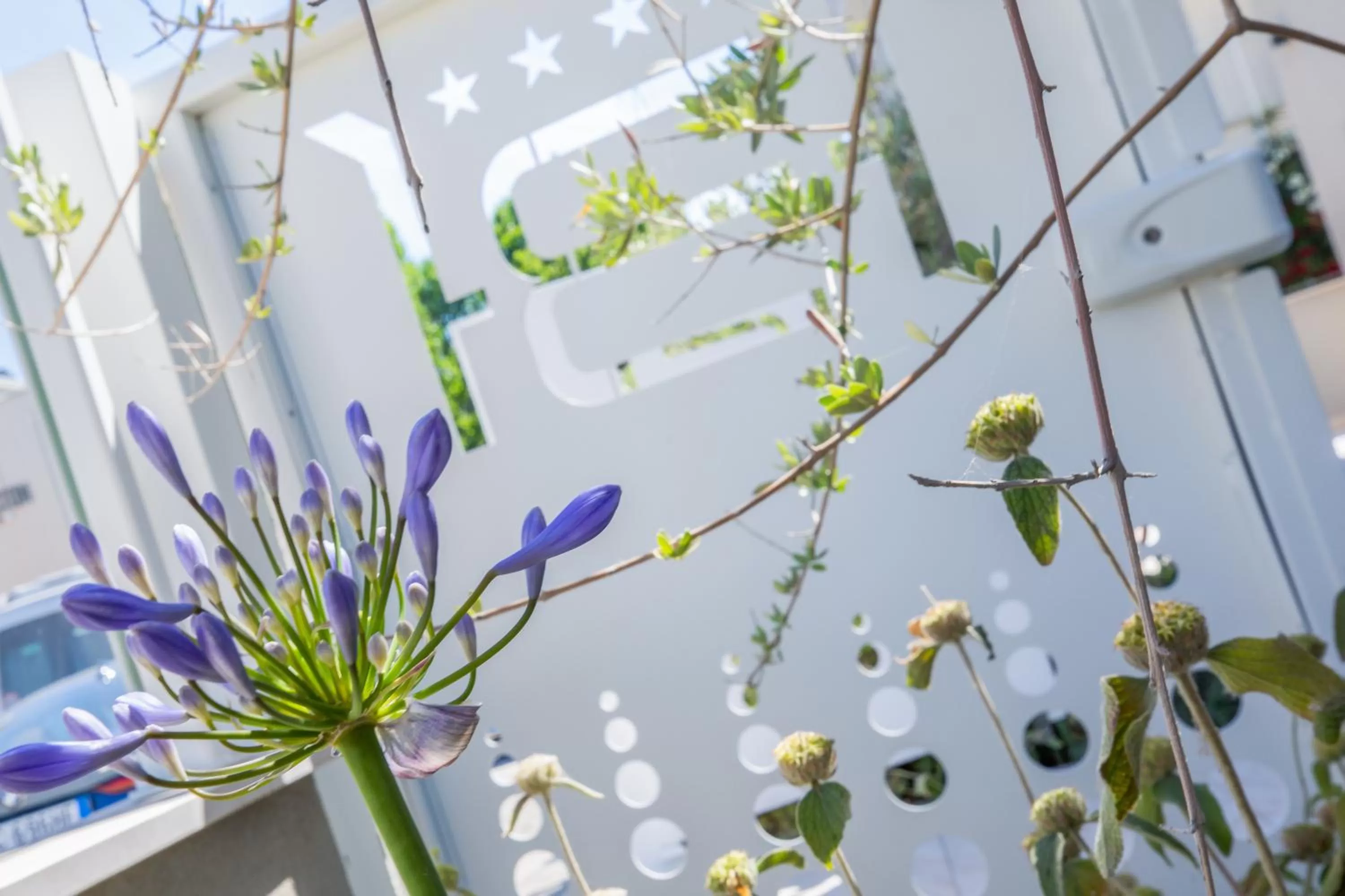 Decorative detail in Hotel Baby