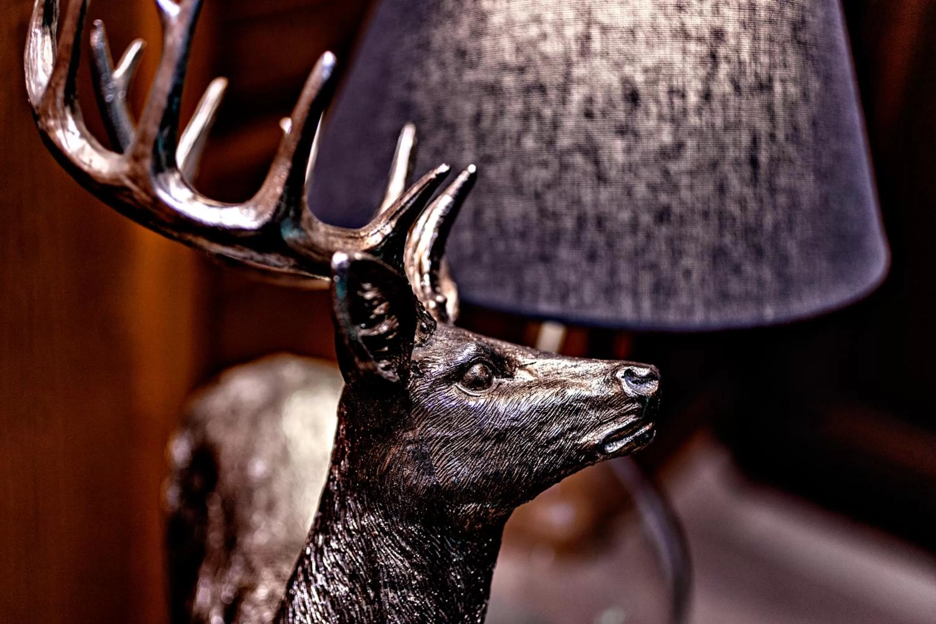 Decorative detail in Villa Zollhaus Bed & Breakfast