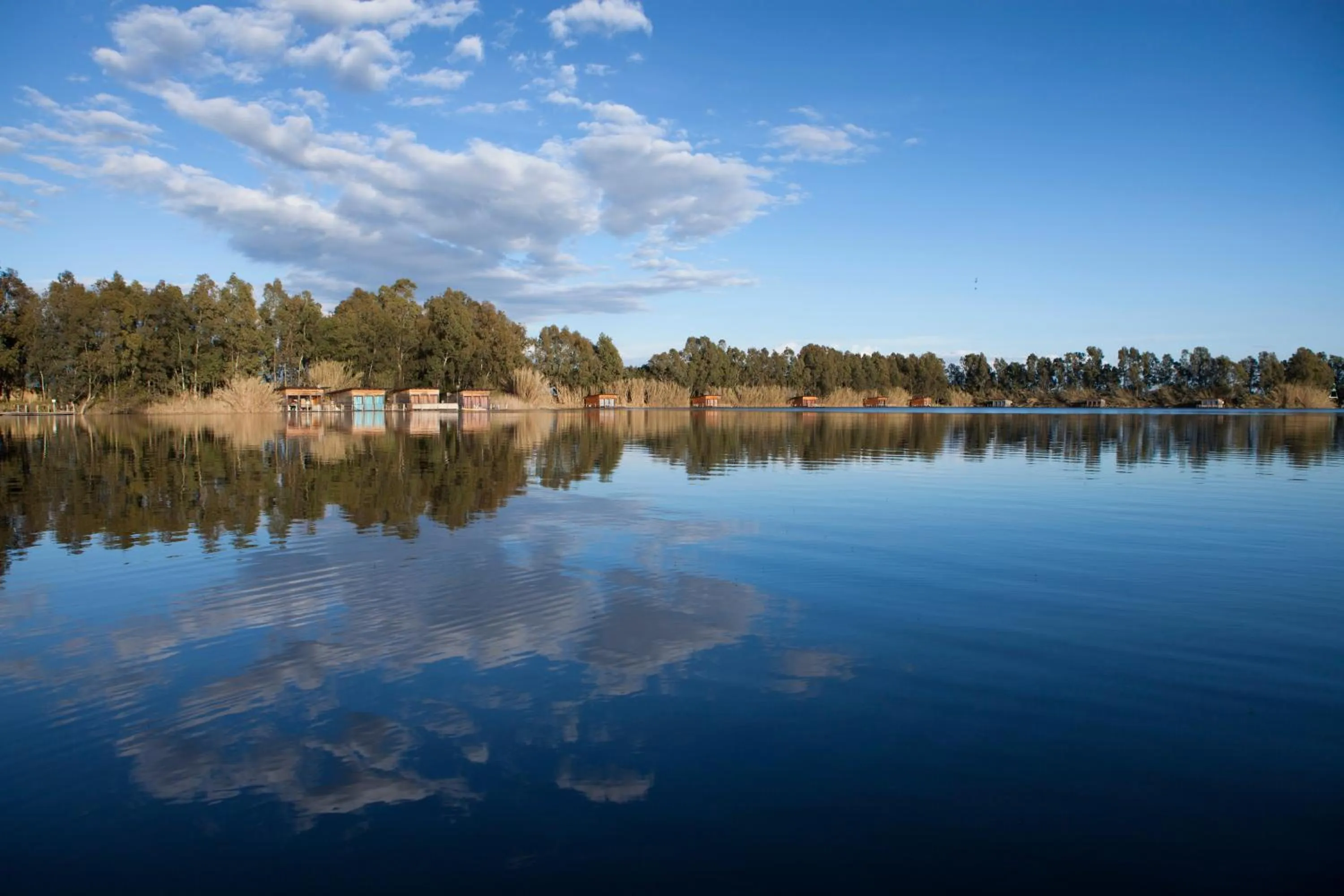 Natural landscape in Plana Resort & SPA