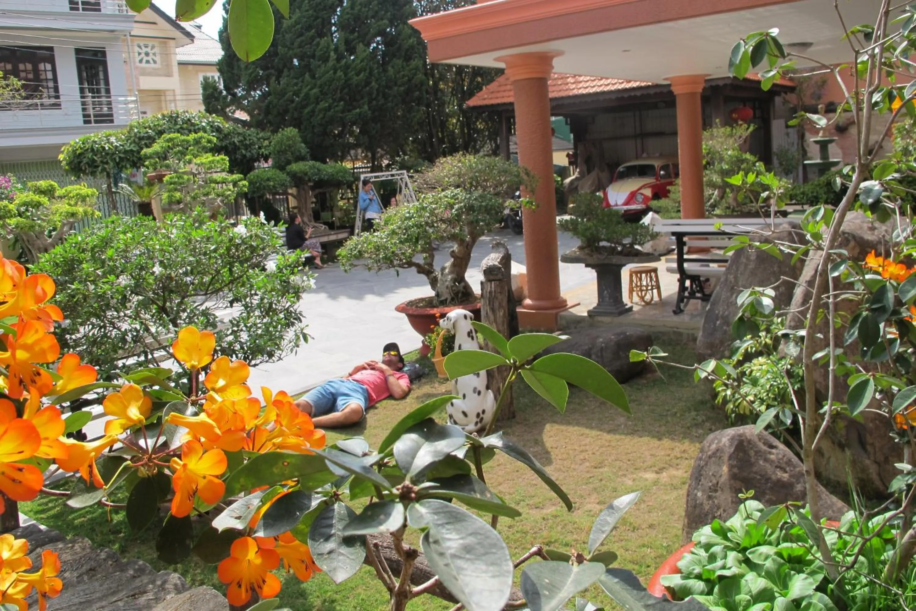 Day in Villa Pink House