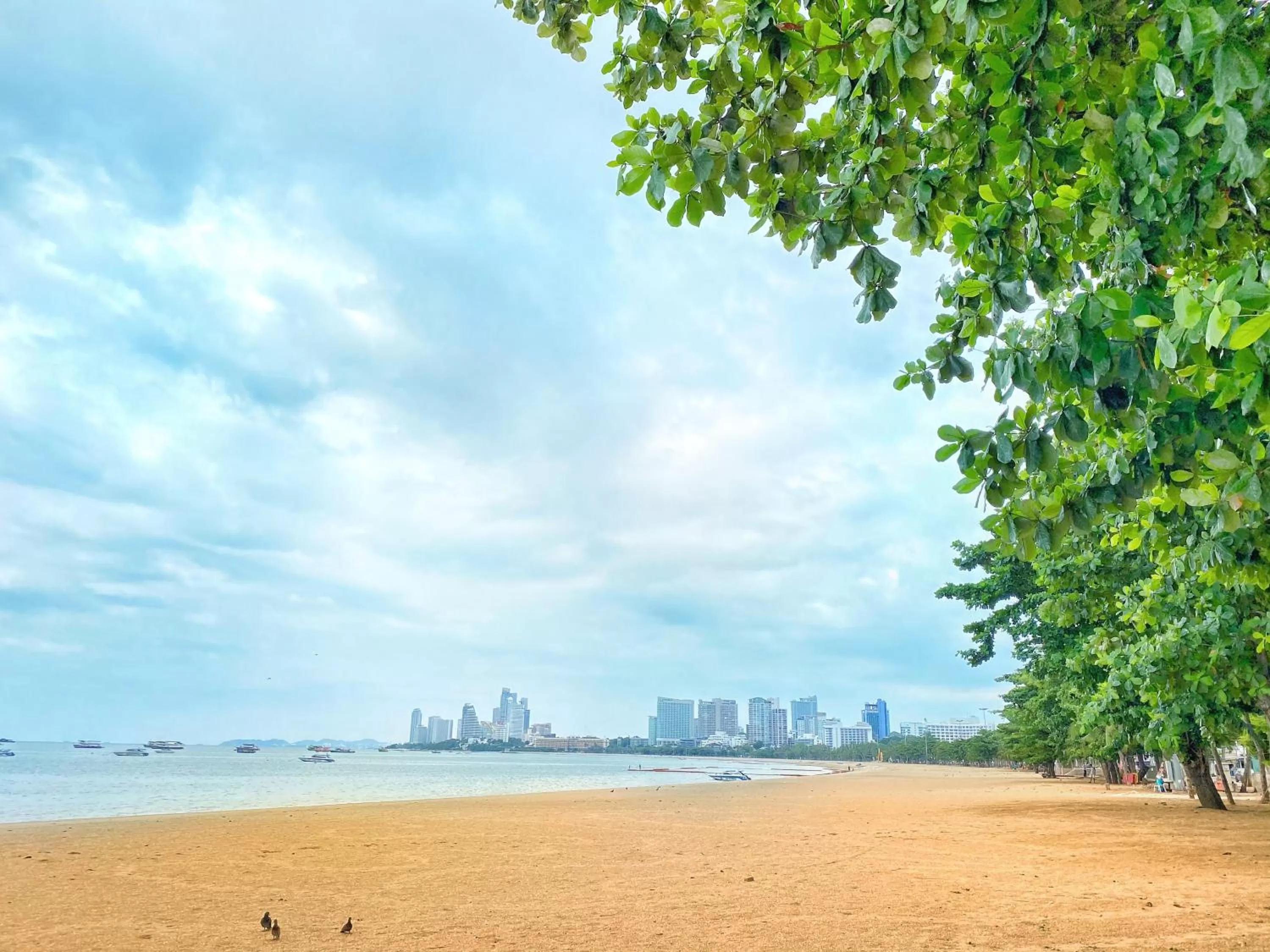 Property building in New Star