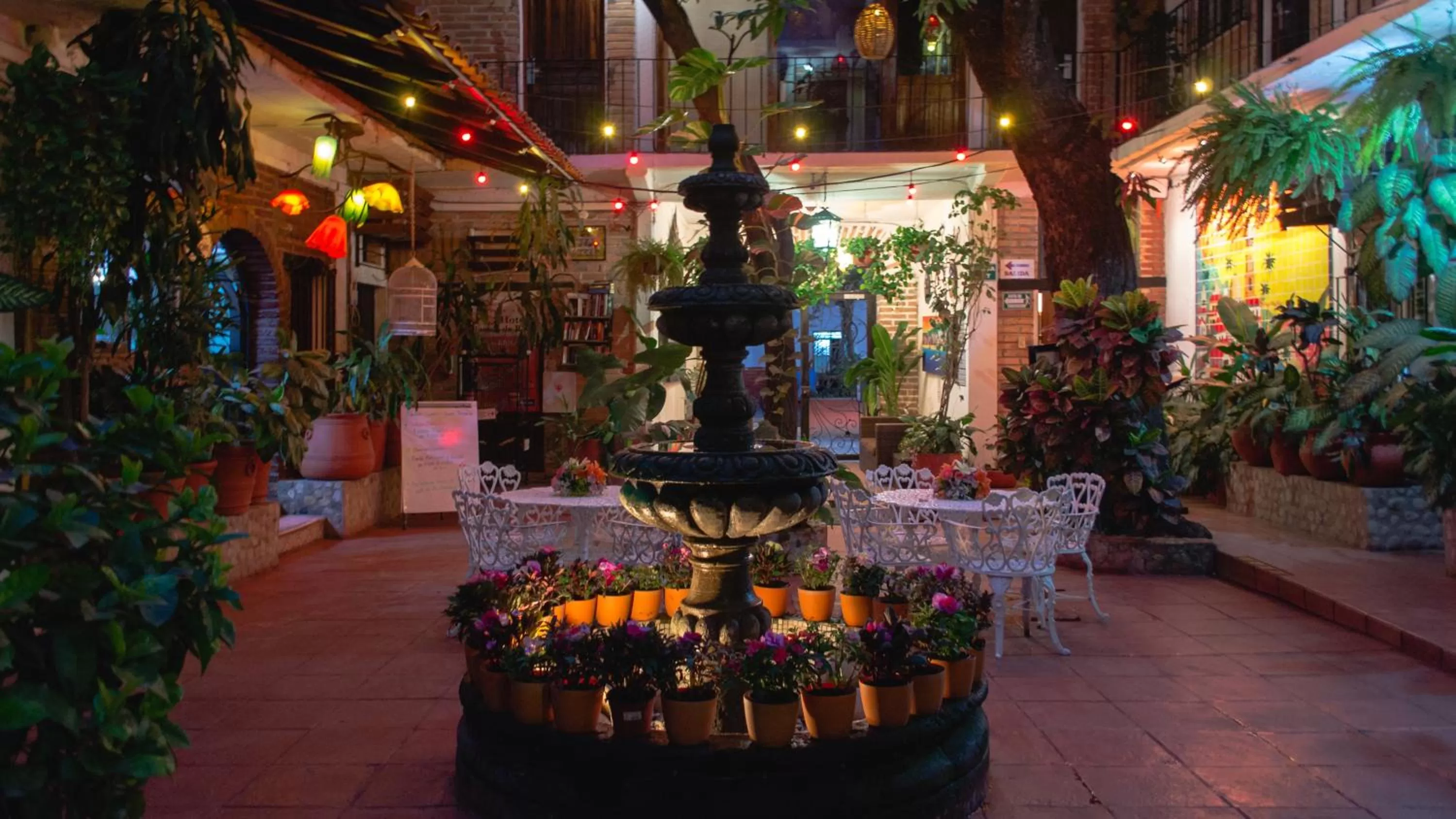 Patio in Hotel Posada De Roger - Near Los Muertos Beach