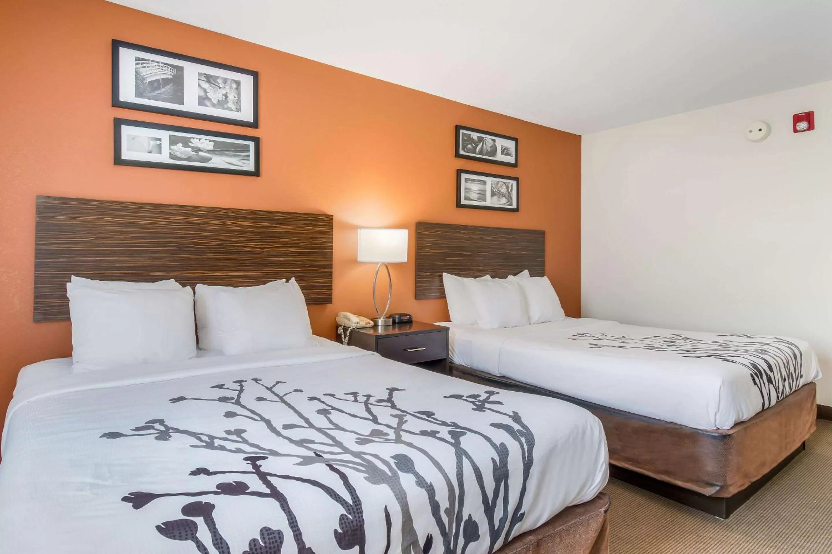 Bedroom in Sleep Inn & Suites Ronks