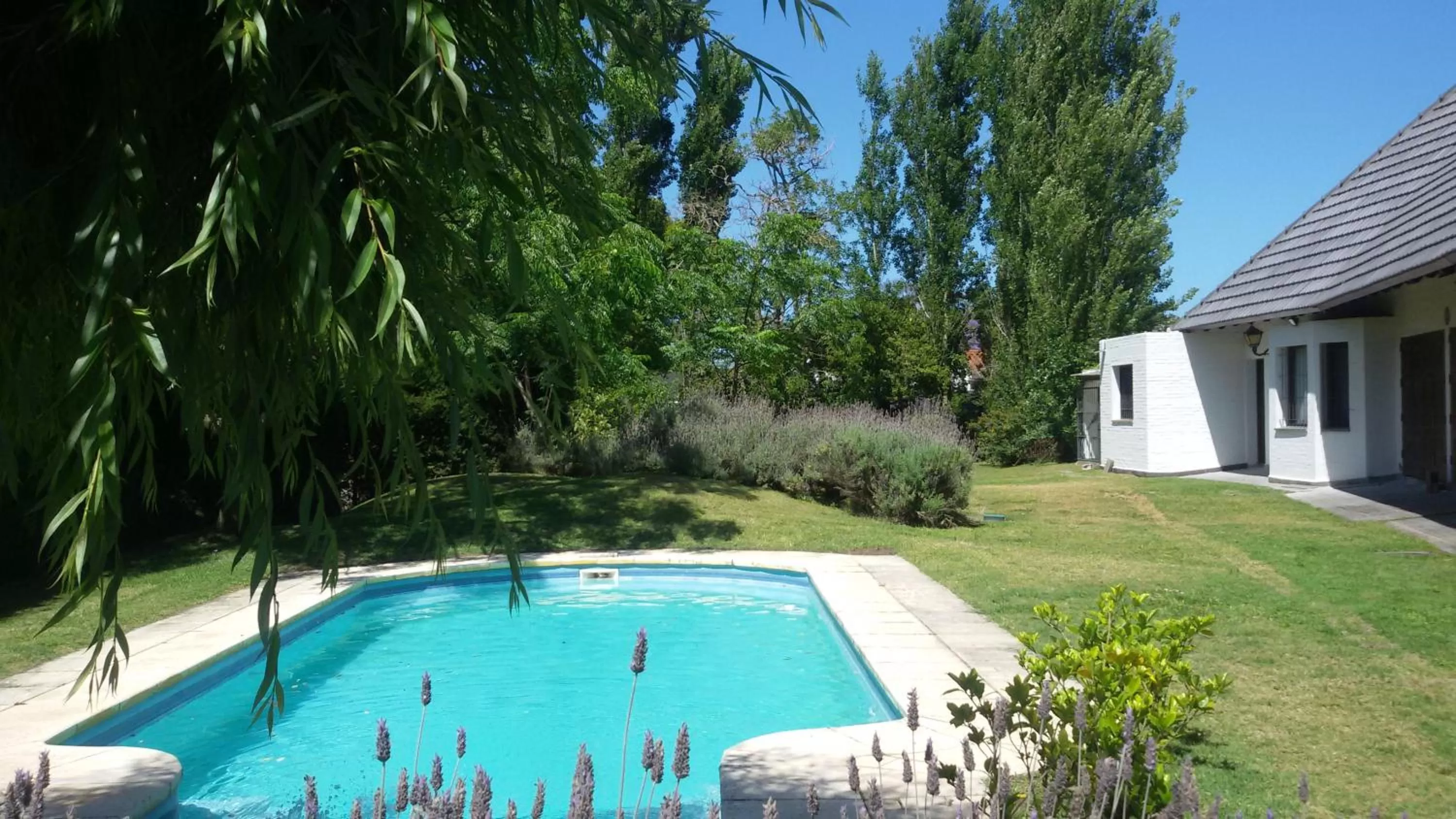 View (from property/room) in Arsamici Hotel