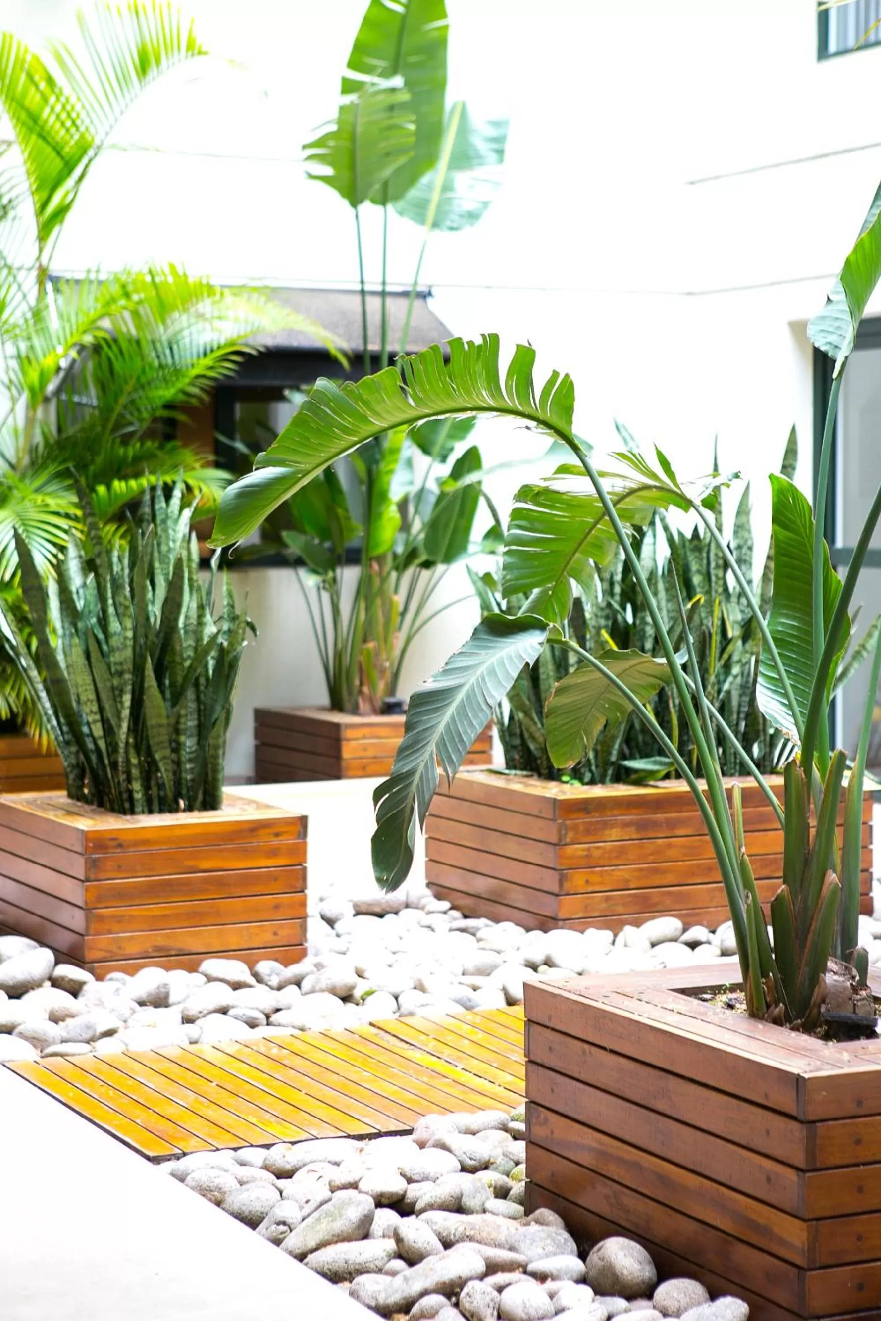 Nuss Buenos Aires Soho