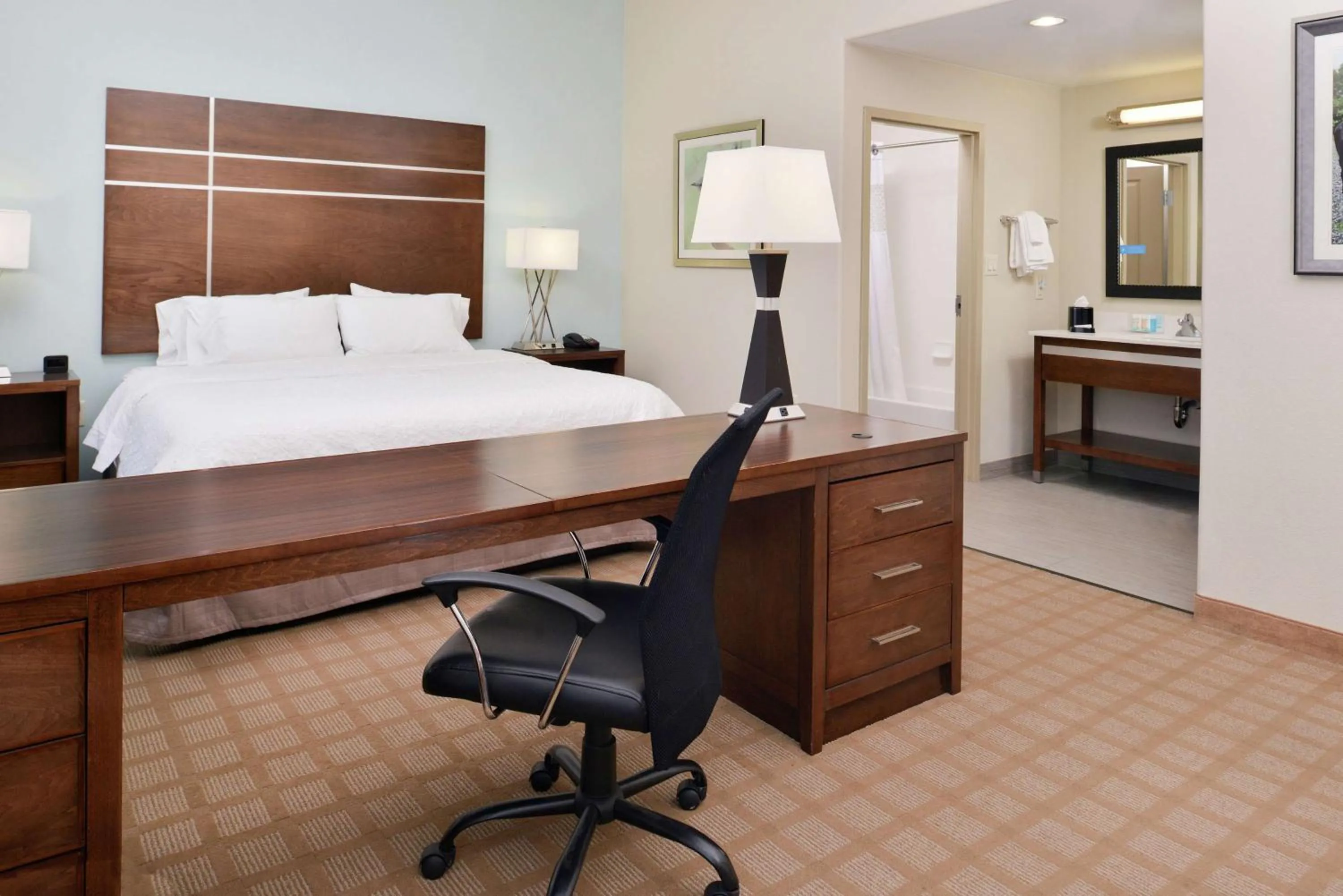 King Studio in Hampton Inn and Suites Hutto