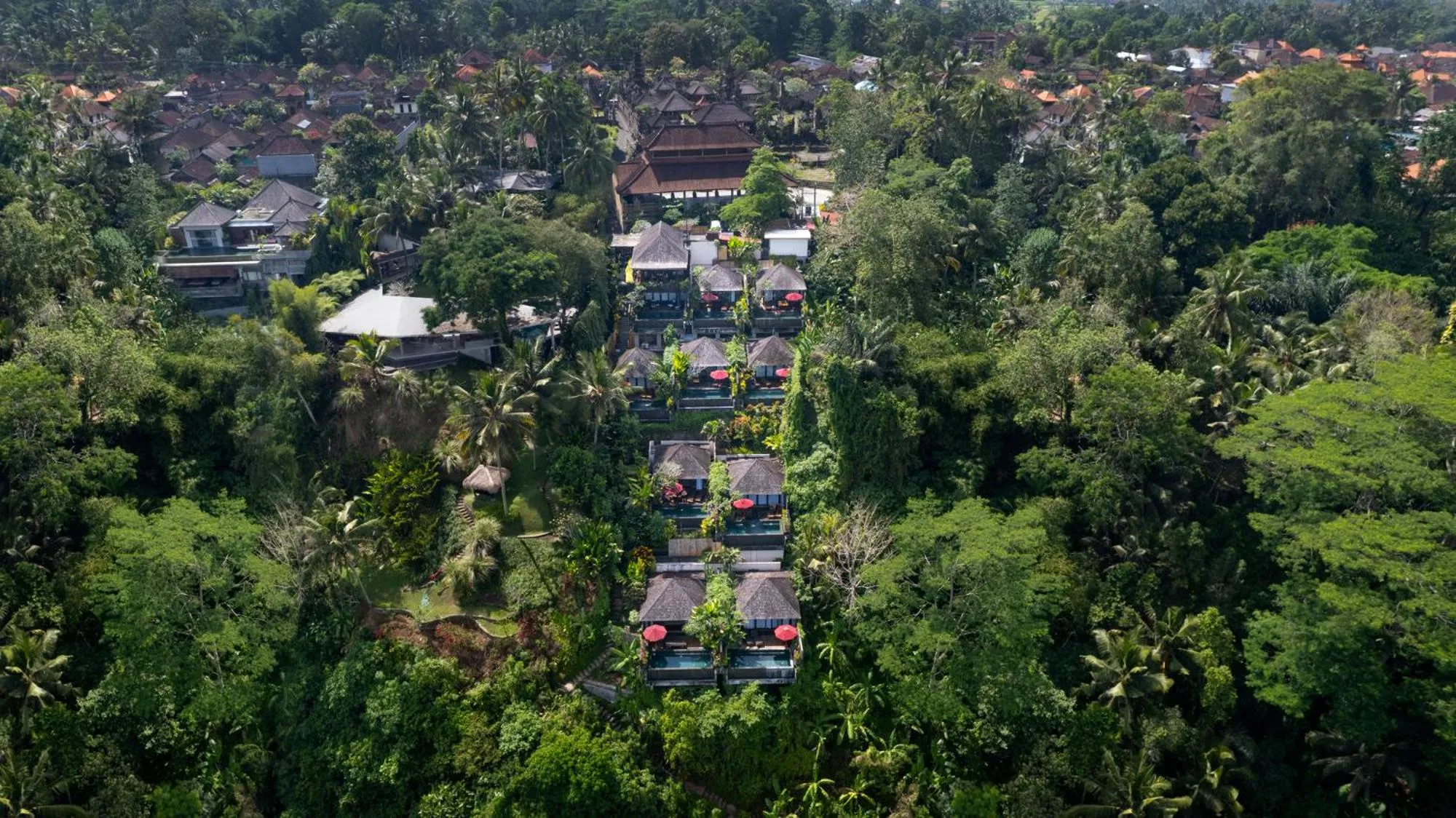 Natural landscape in Black Penny Villas Ubud