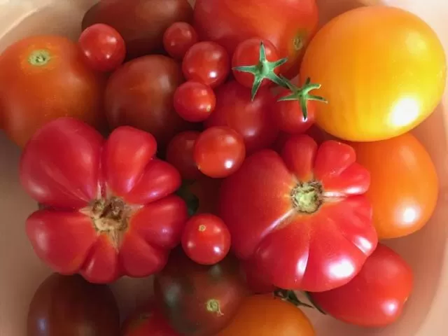 Buffet breakfast in Hotell Bäckagården