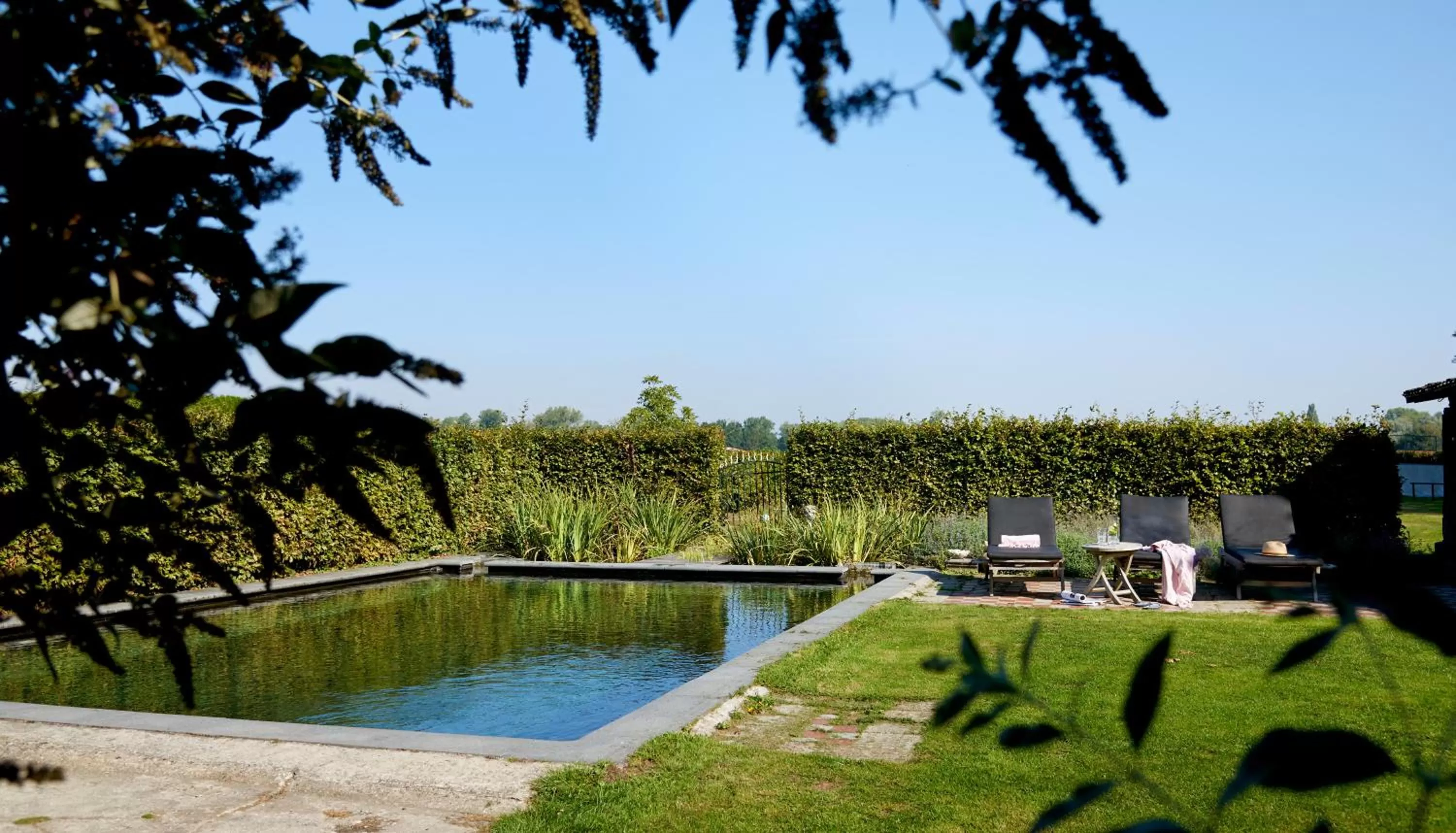 Swimming pool in Gasterie Lieve Hemel