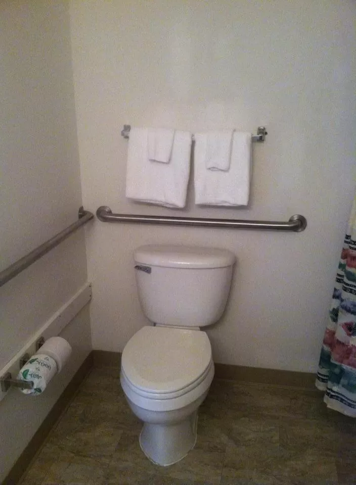 Toilet in Douglas Inn & Suites, Blue Ridge, GA