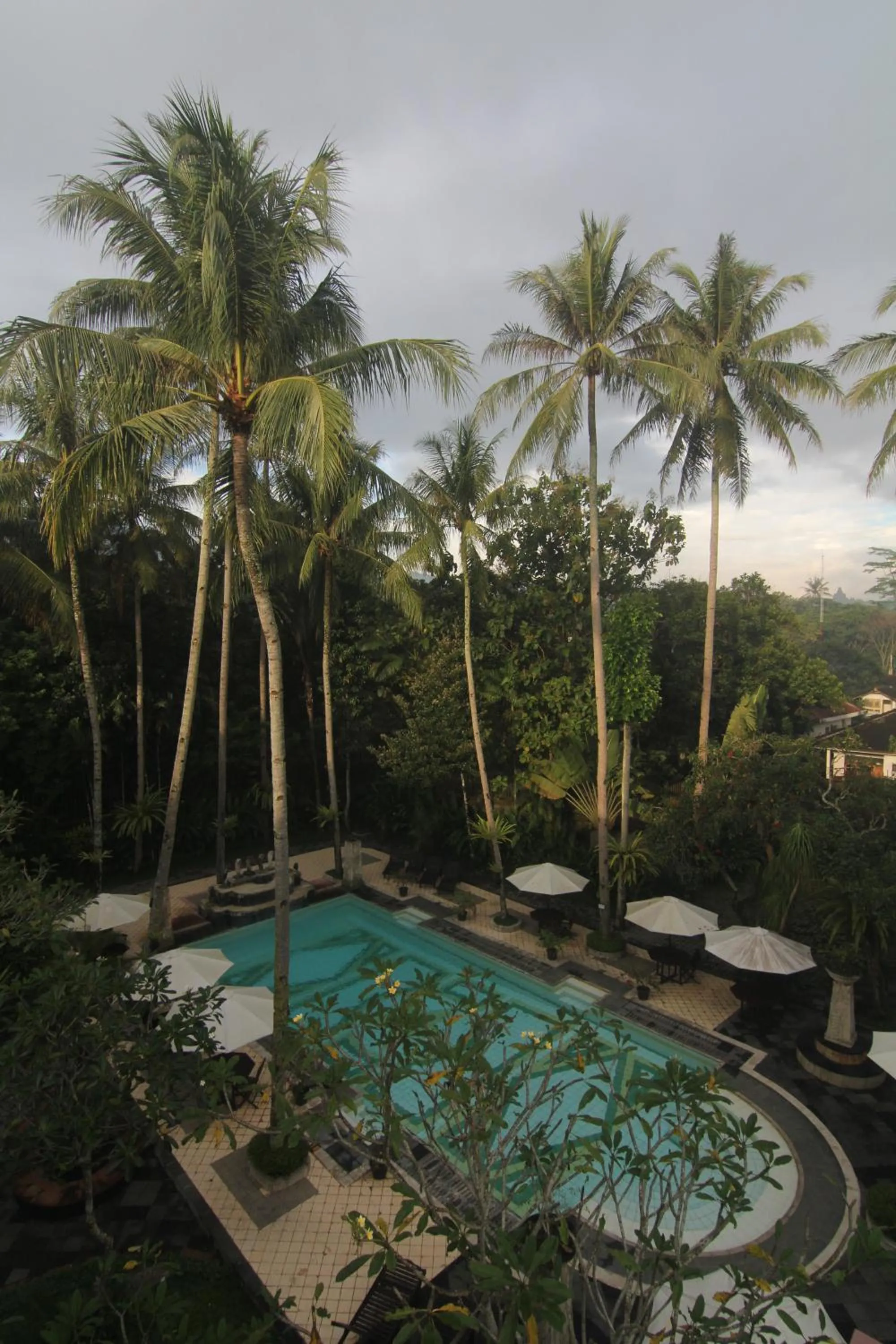 Pool view in Sarasvati Borobudur
