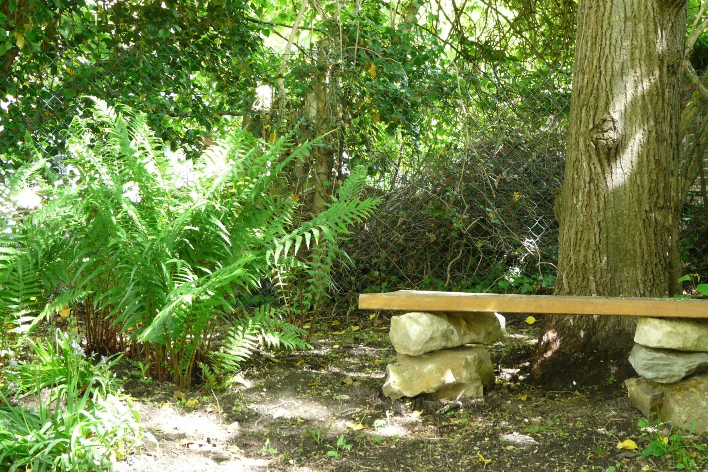 Garden view in B&B Le Valangré