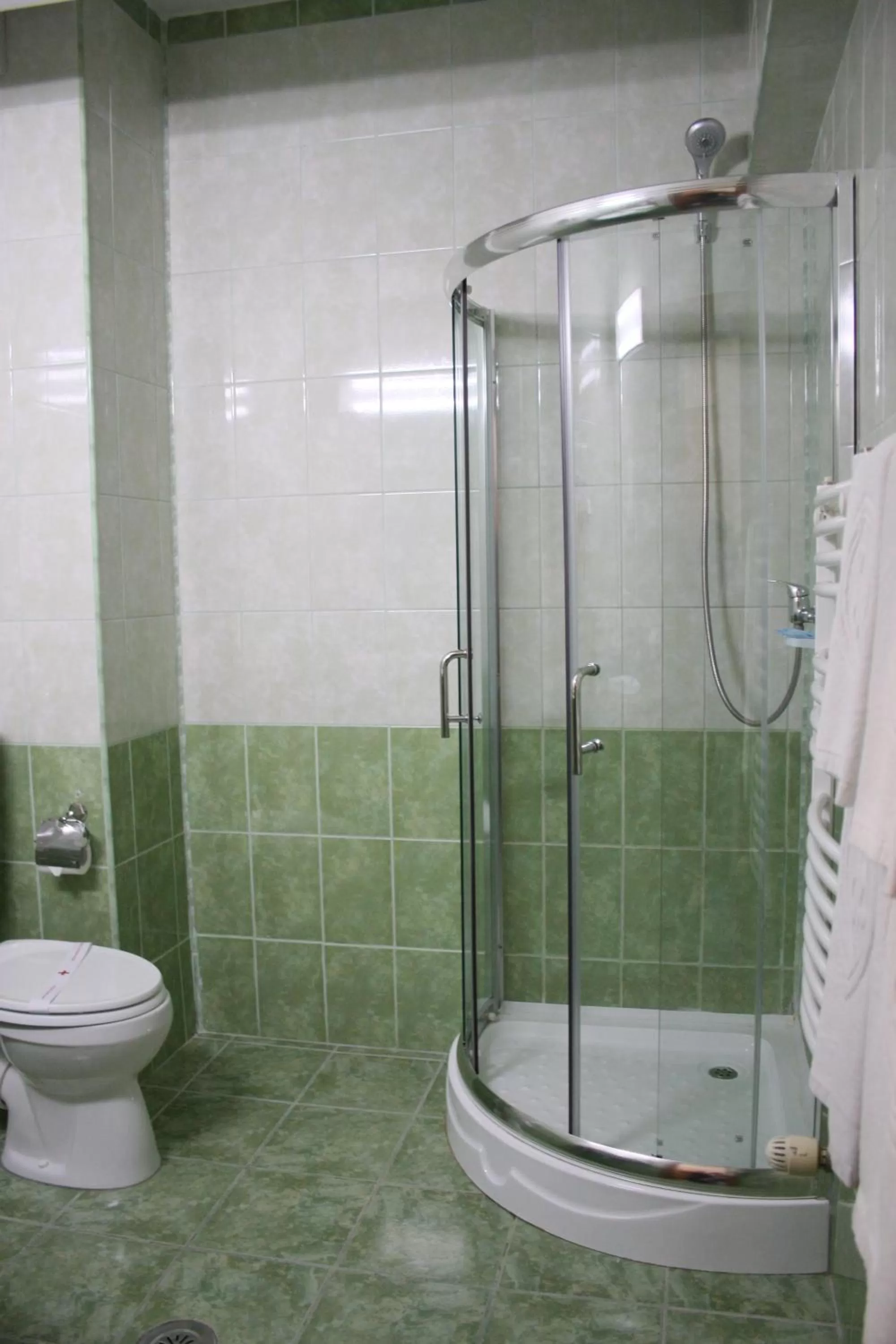 Bathroom in Hotel Sir Orhideea