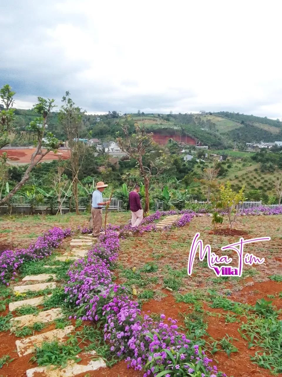 Natural landscape, Garden in Mùa Tím Villa