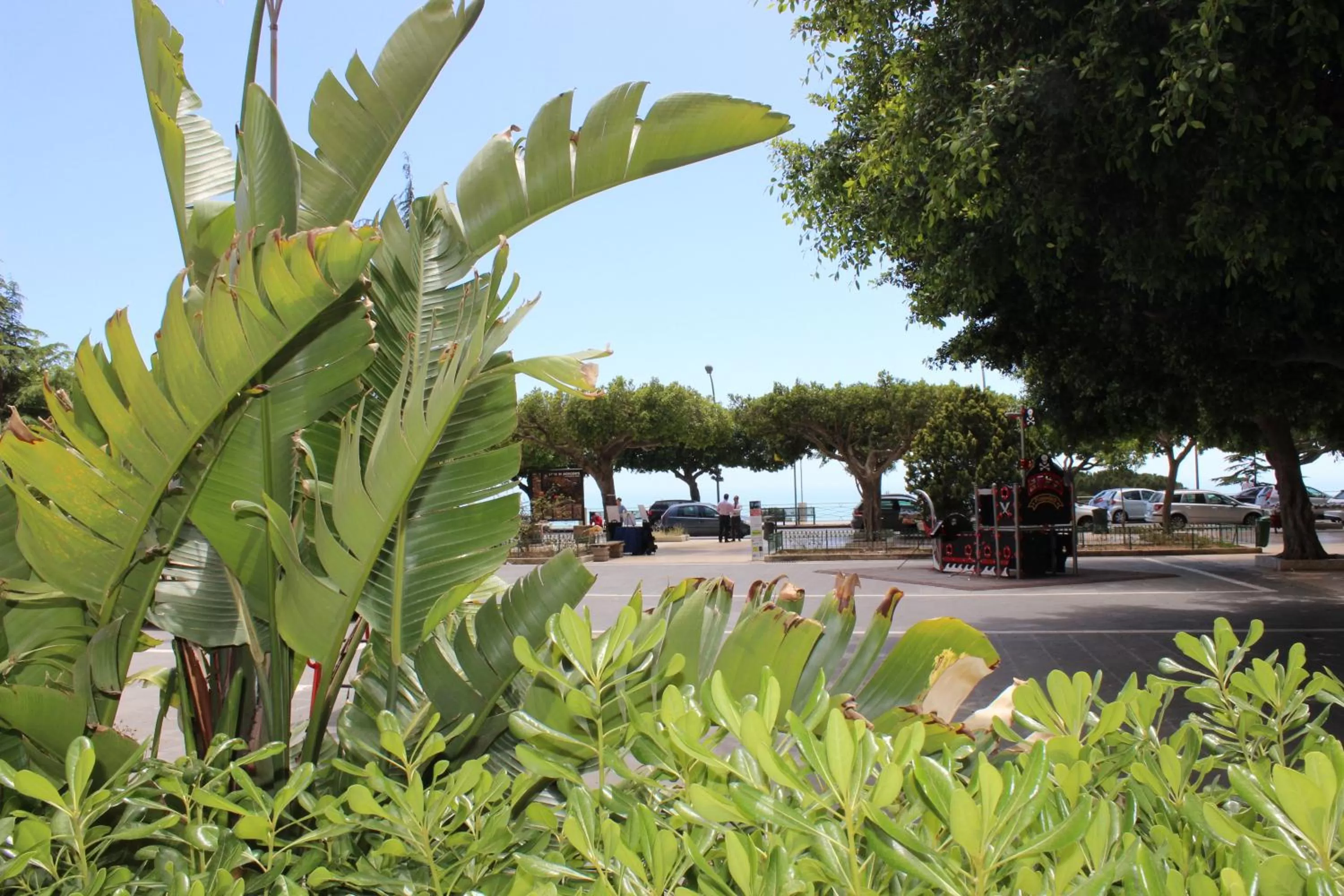 Neighbourhood in Hotel Del Viale