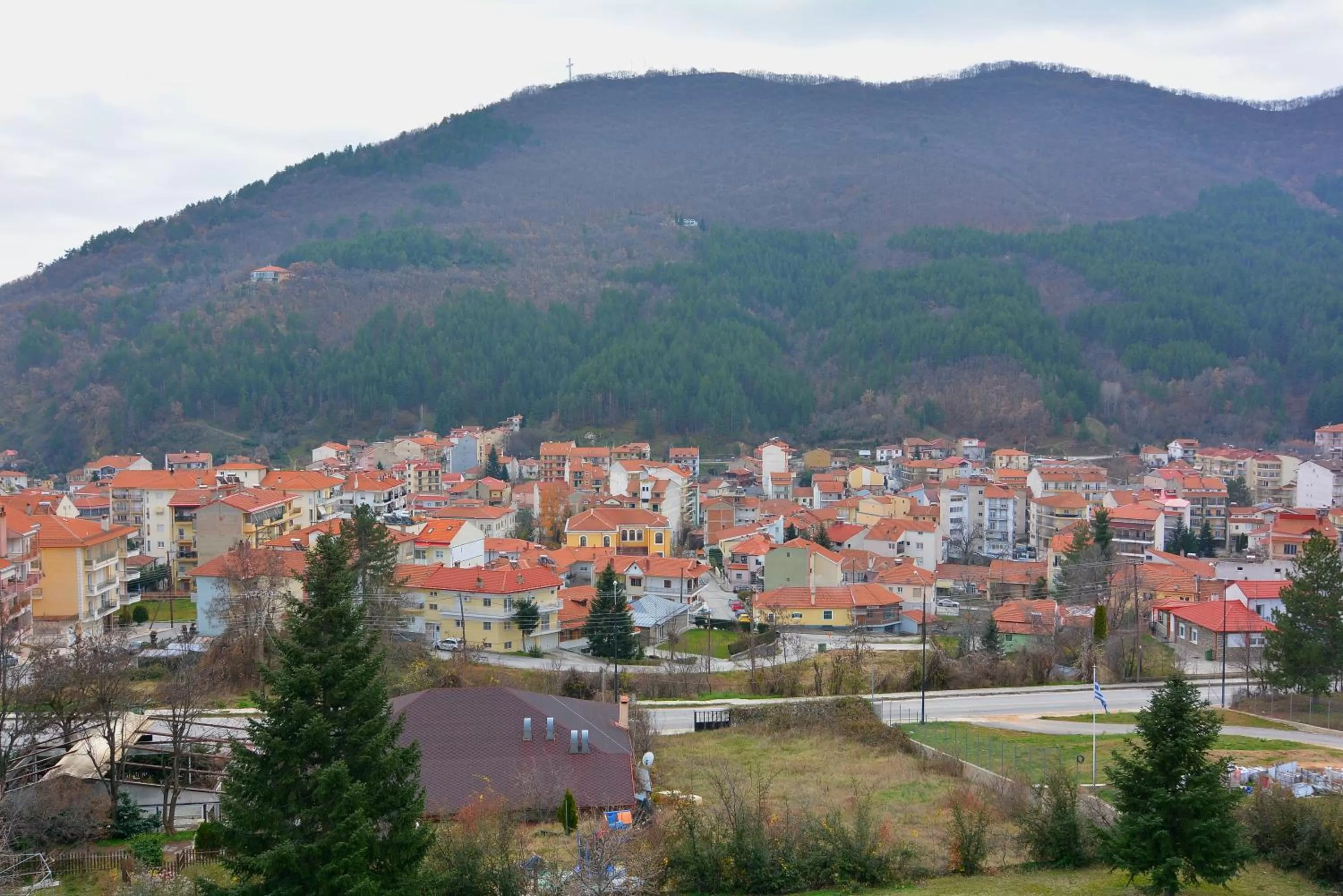 Bird's-eye View in King Alexander