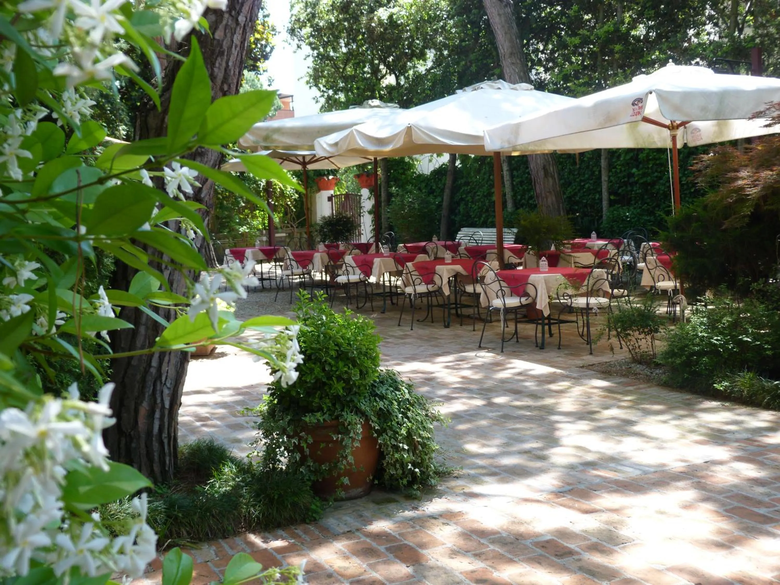 Garden in Hotel La Meridiana