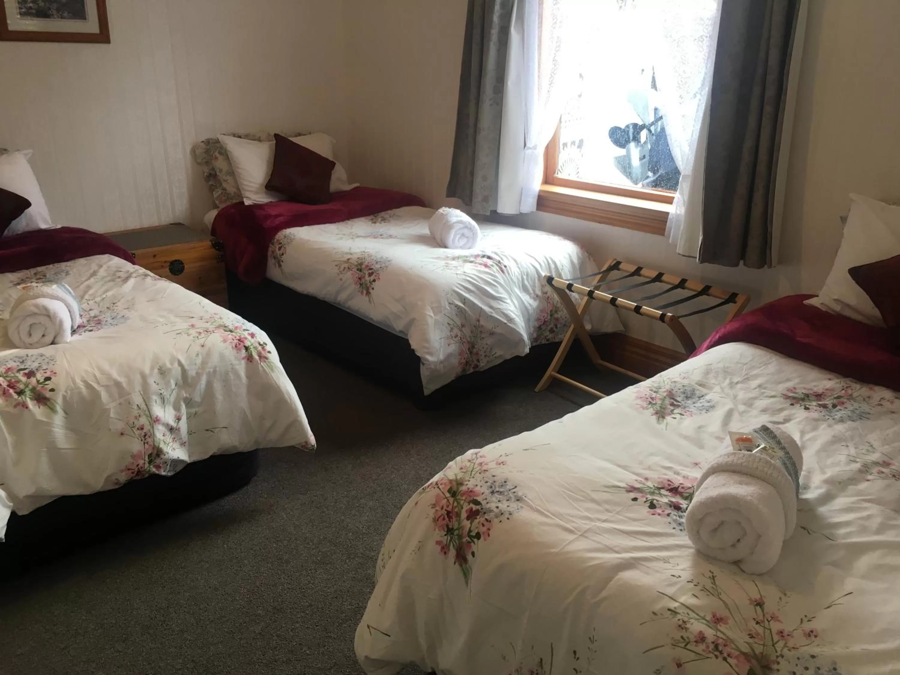 Bed in Settlers Cottage Motel