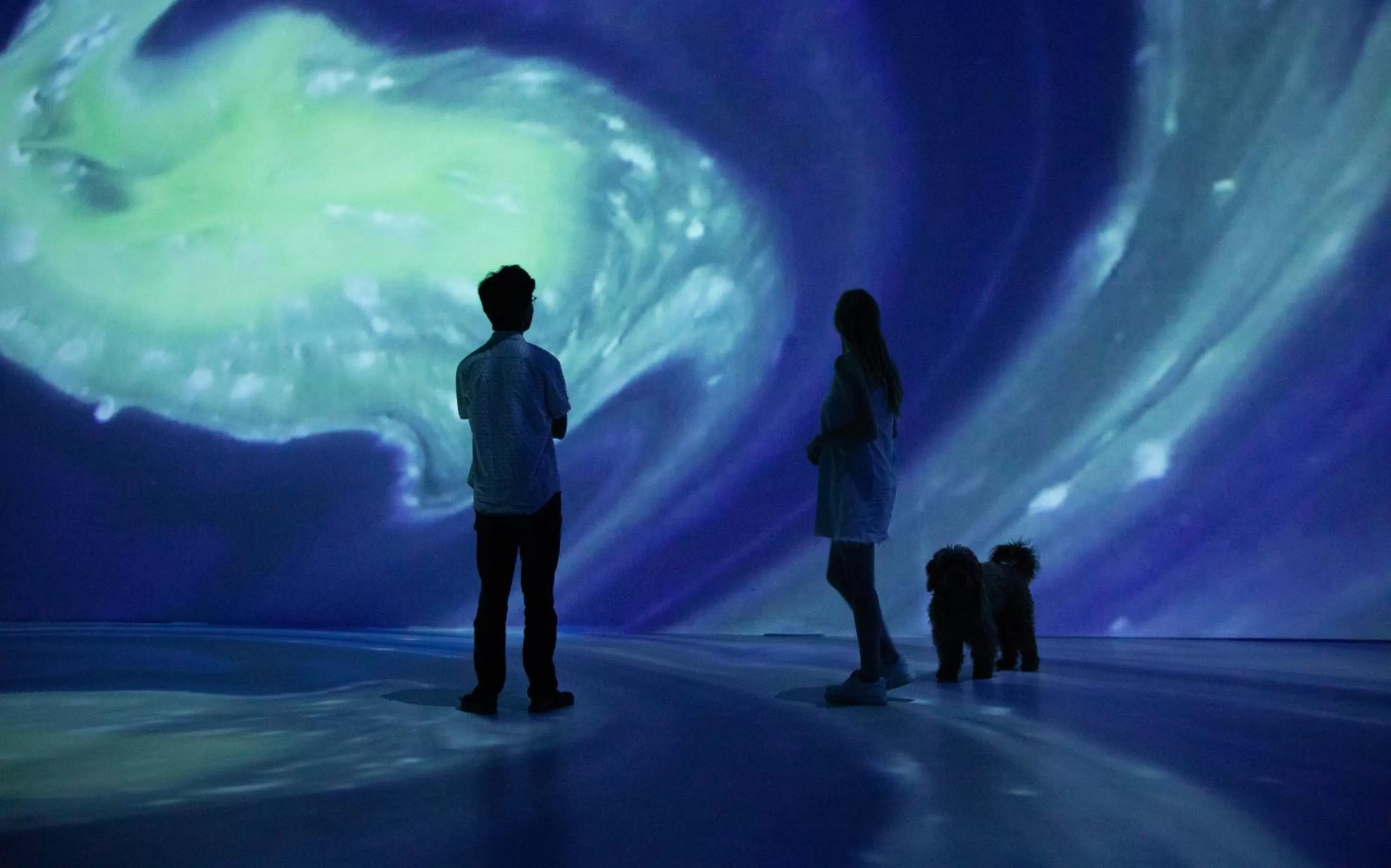 Activities in Hotel La Casa de los Árboles Immersive Experience