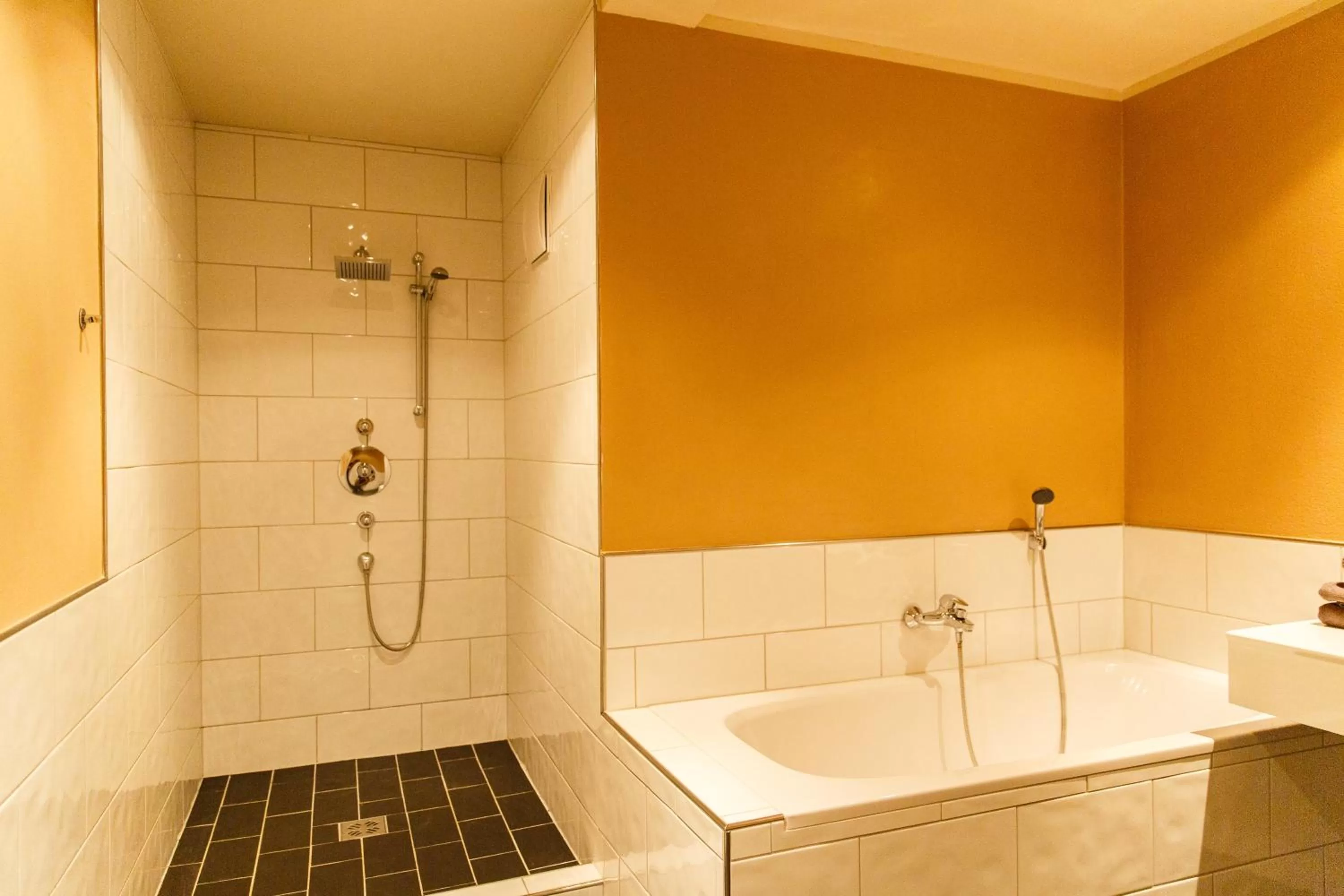 Bathroom in Hotel Salzburg