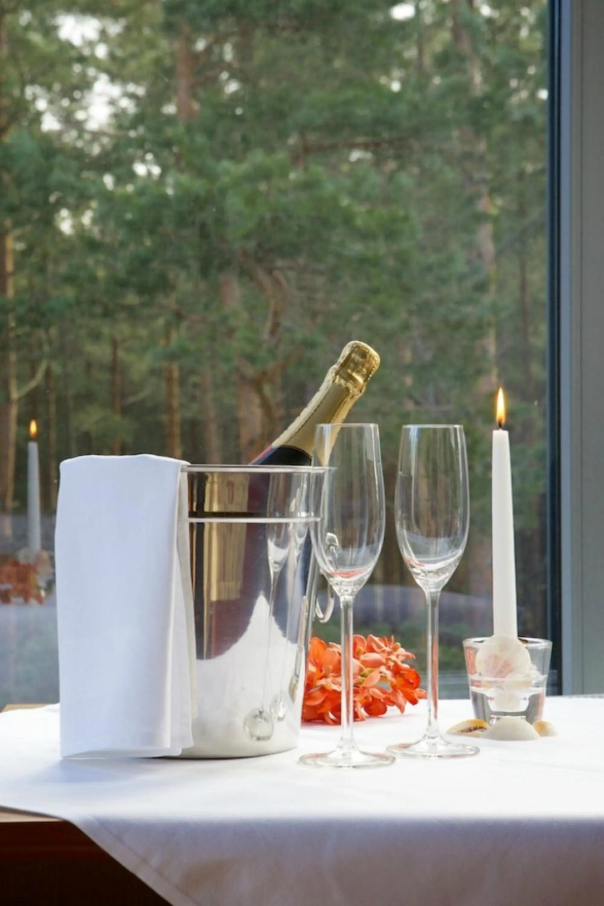 Alcoholic drinks in Meduza Hotel