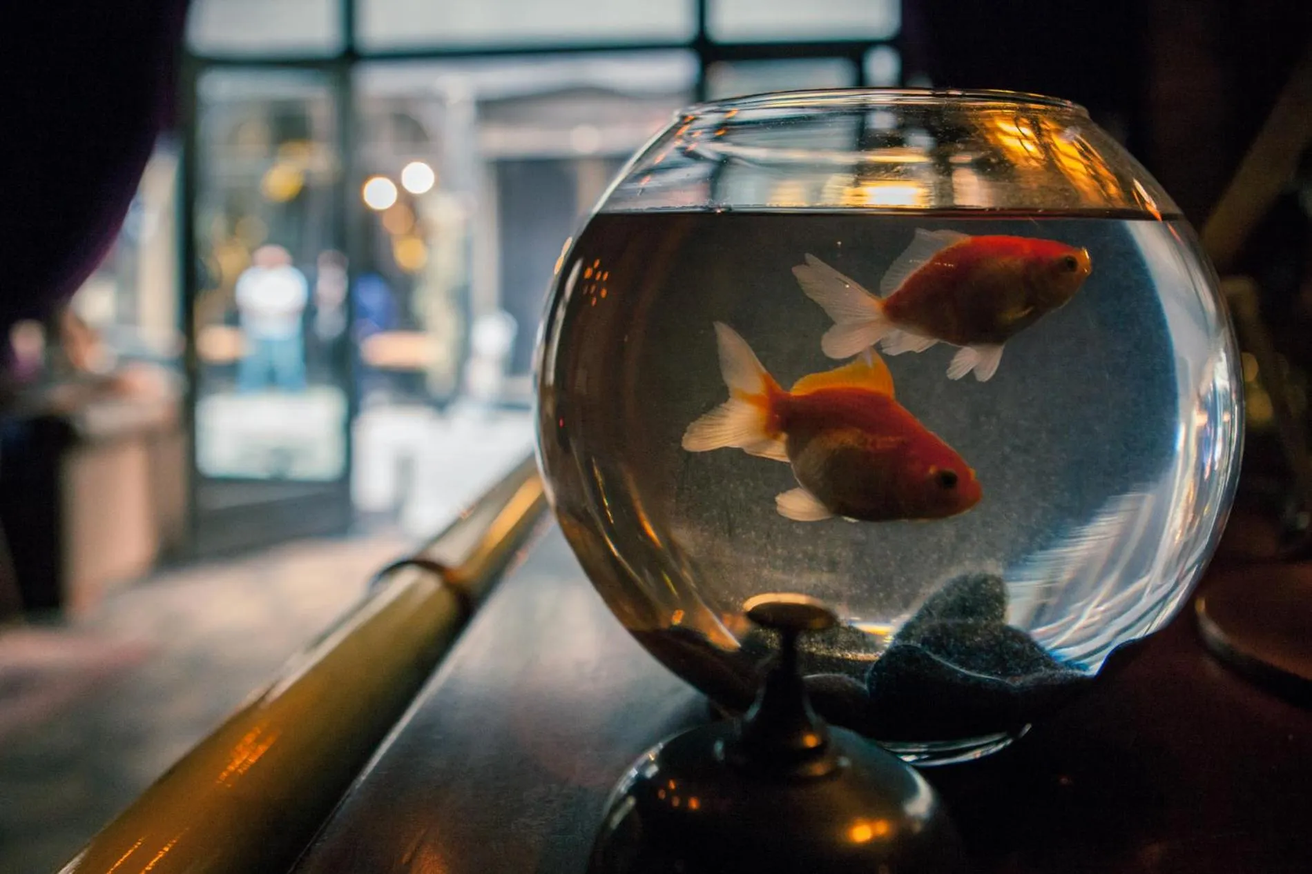 Facade/entrance in Georges Hotel Galata
