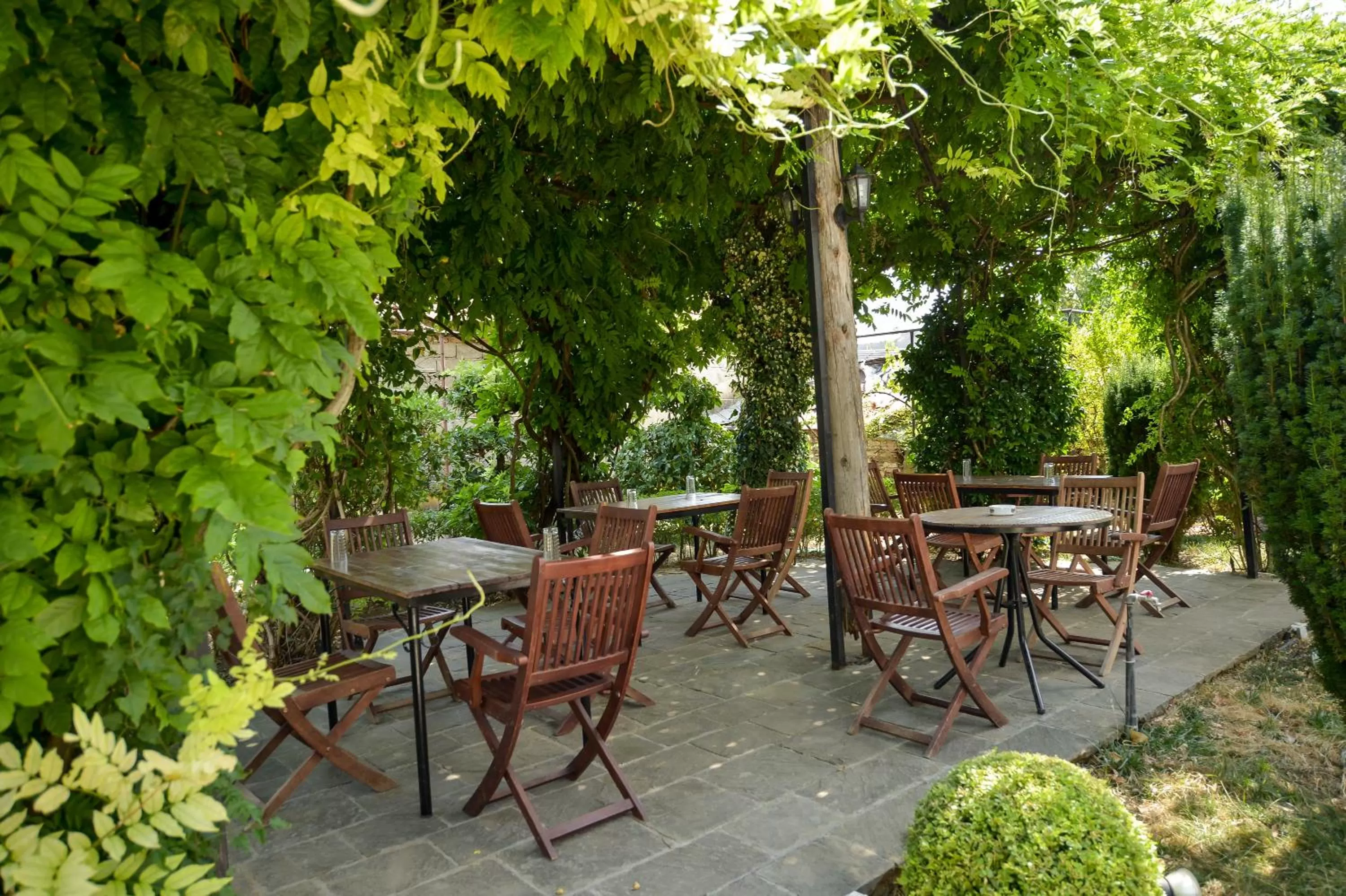 Garden in Hotel Kalemi