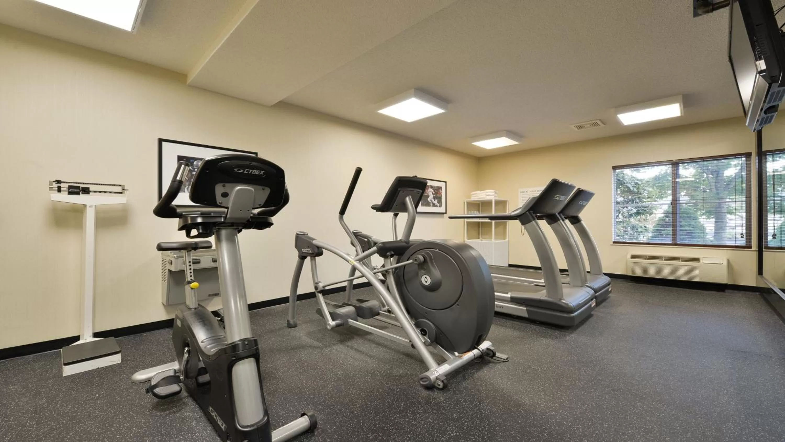 Fitness centre/facilities in Holiday Inn Express Boston-Milford by IHG