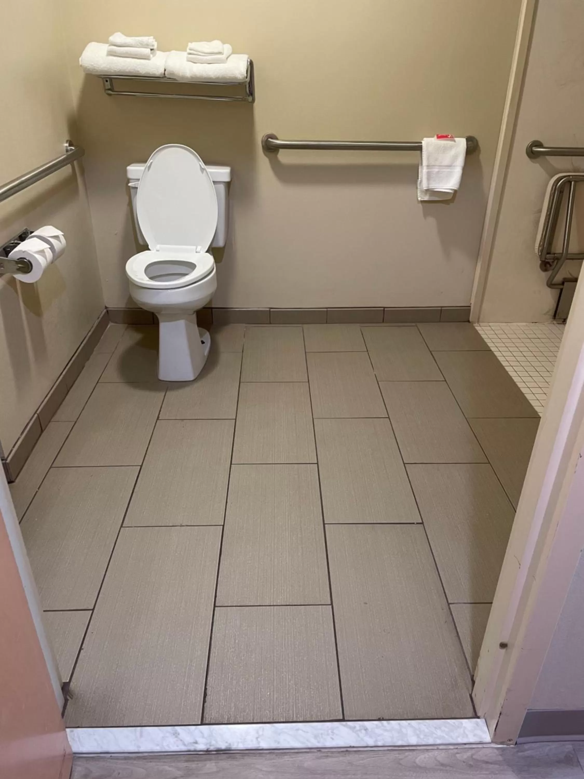 Bathroom in Econo Lodge Newport Smoky Mountains Gateway