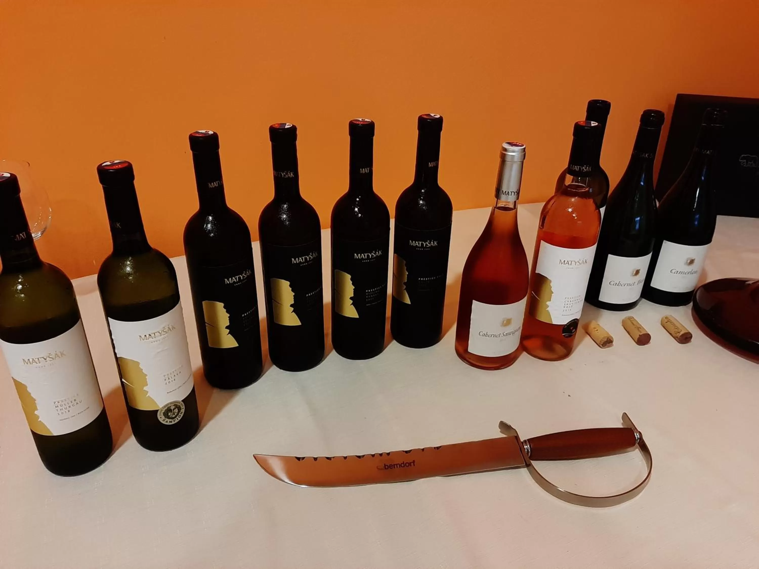 Activities, Drinks in garni Hotel S.O.G.* * *