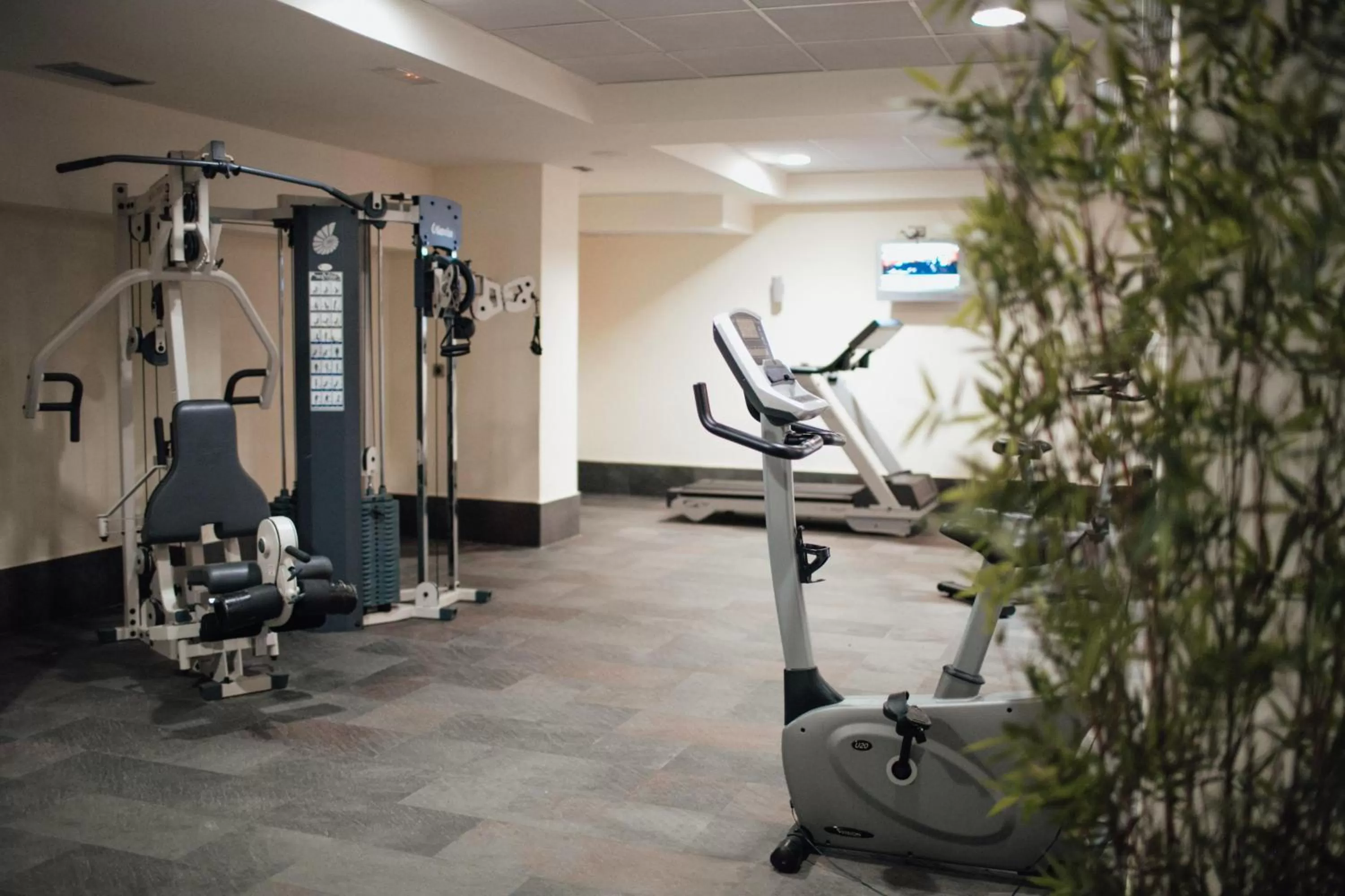 Activities in Poseidon La Manga Hotel & Spa - Designed for Adults