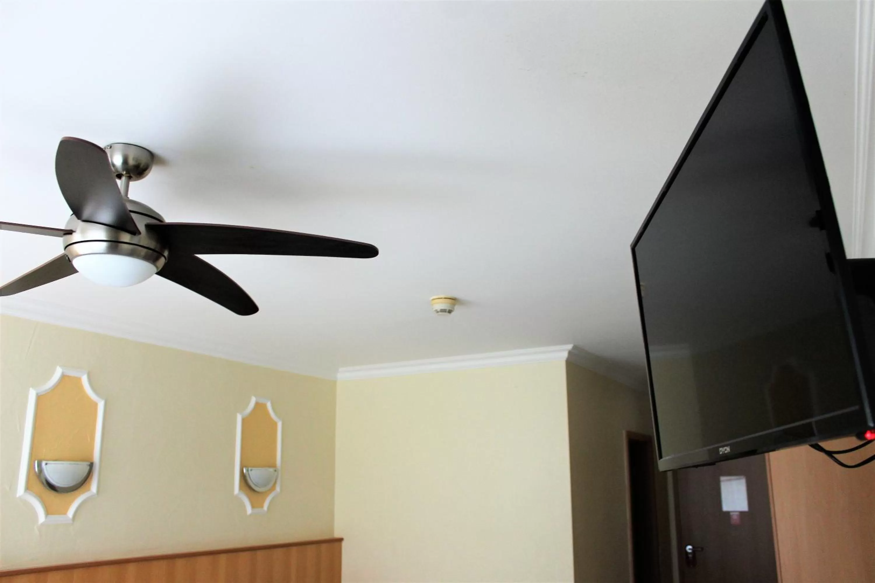 Photo of the whole room in Hotel America