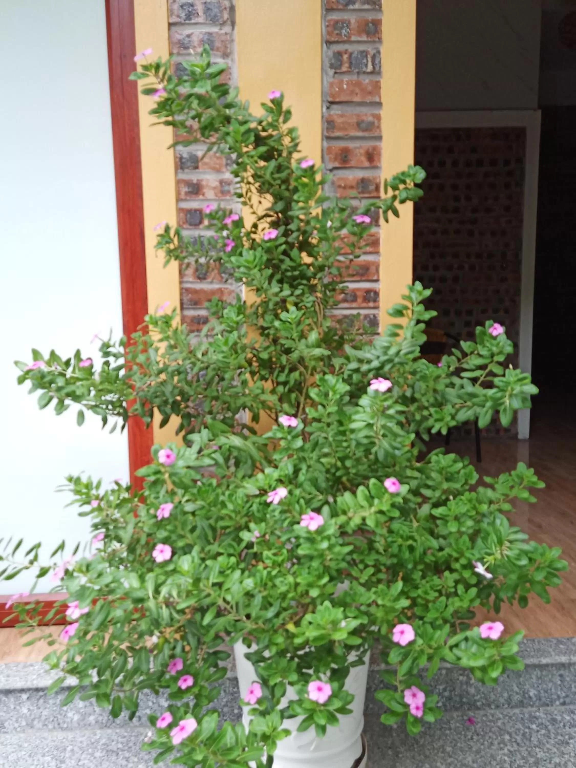 Facade/entrance in Green Space Homestay