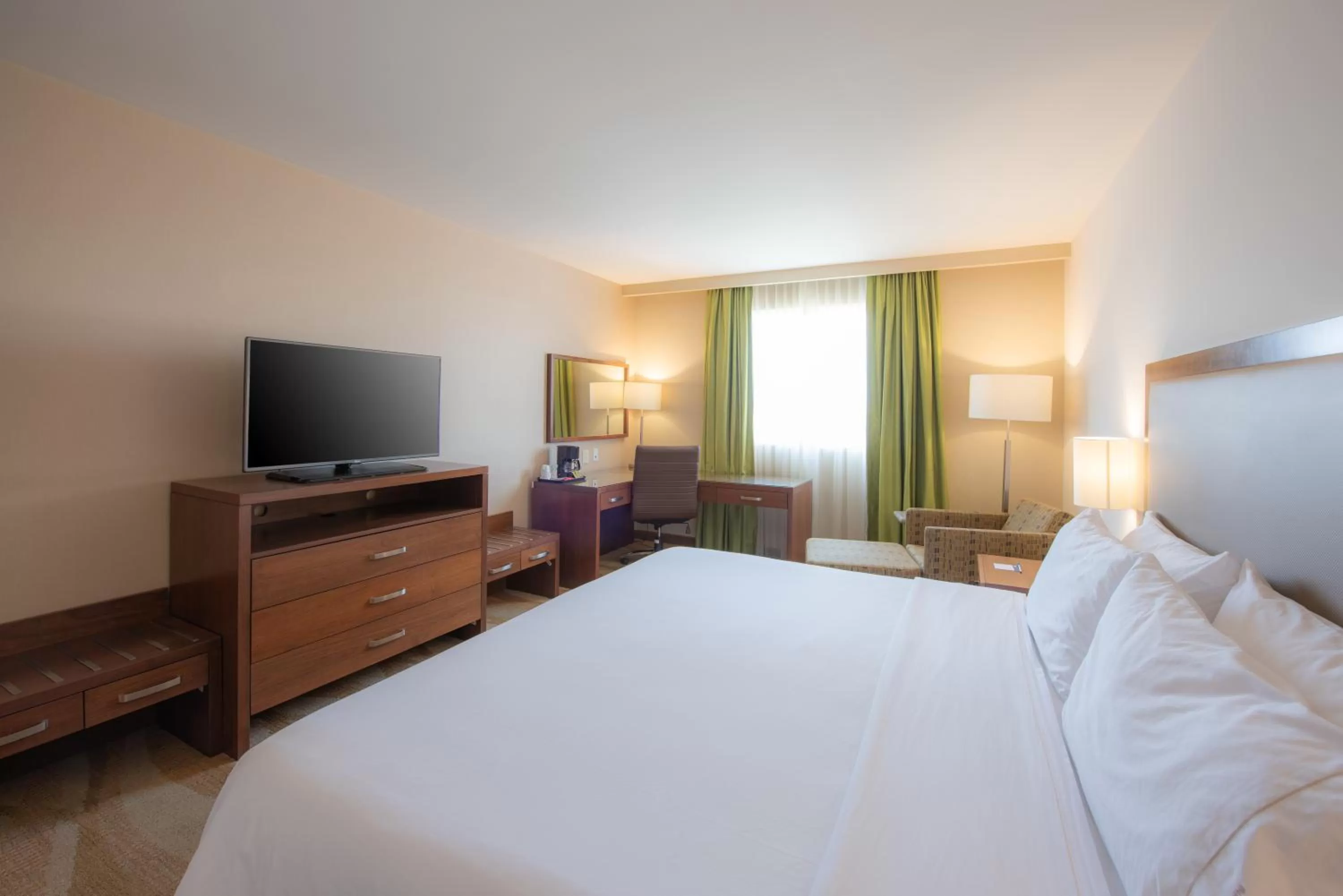 TV and multimedia, Bed in Holiday Inn Express and Suites Celaya by IHG