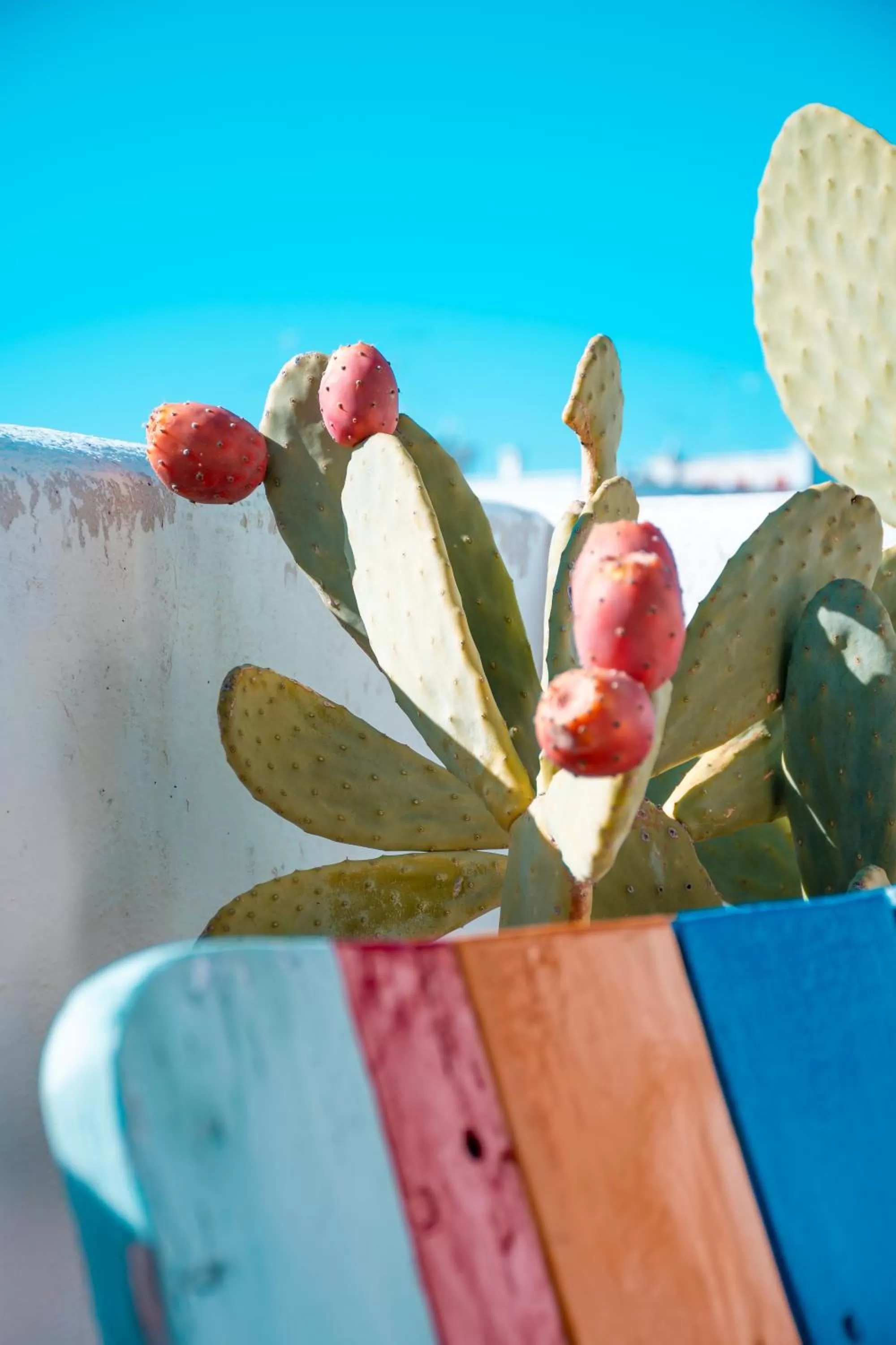 Antico Mondo Rooms & Suites