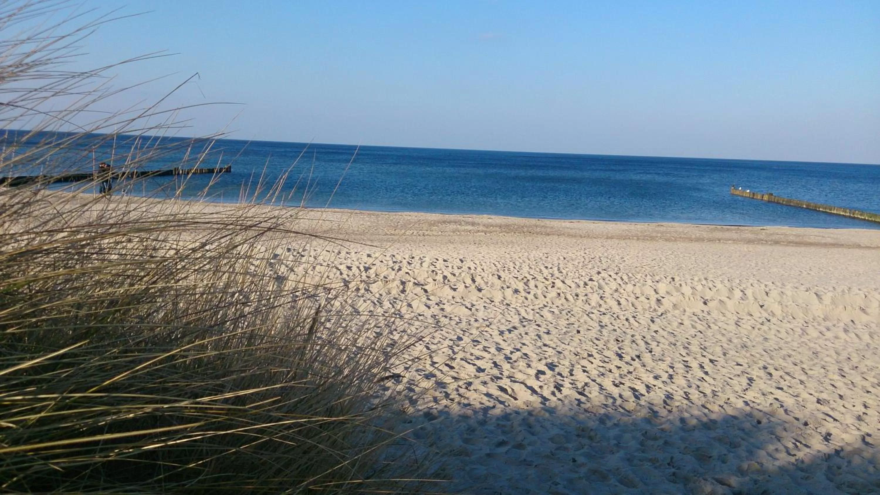 Day in Hotel Poseidon